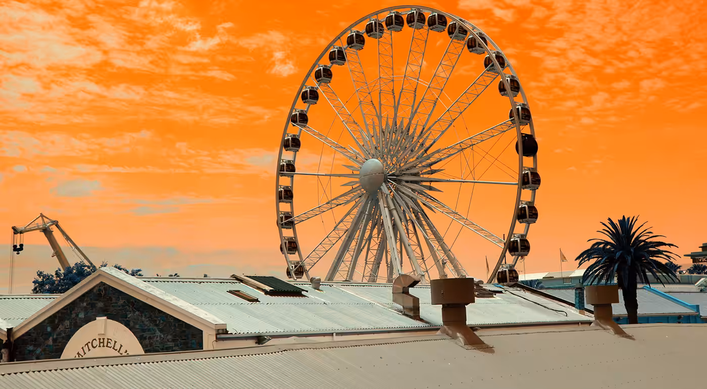 The Cape Wheel #2