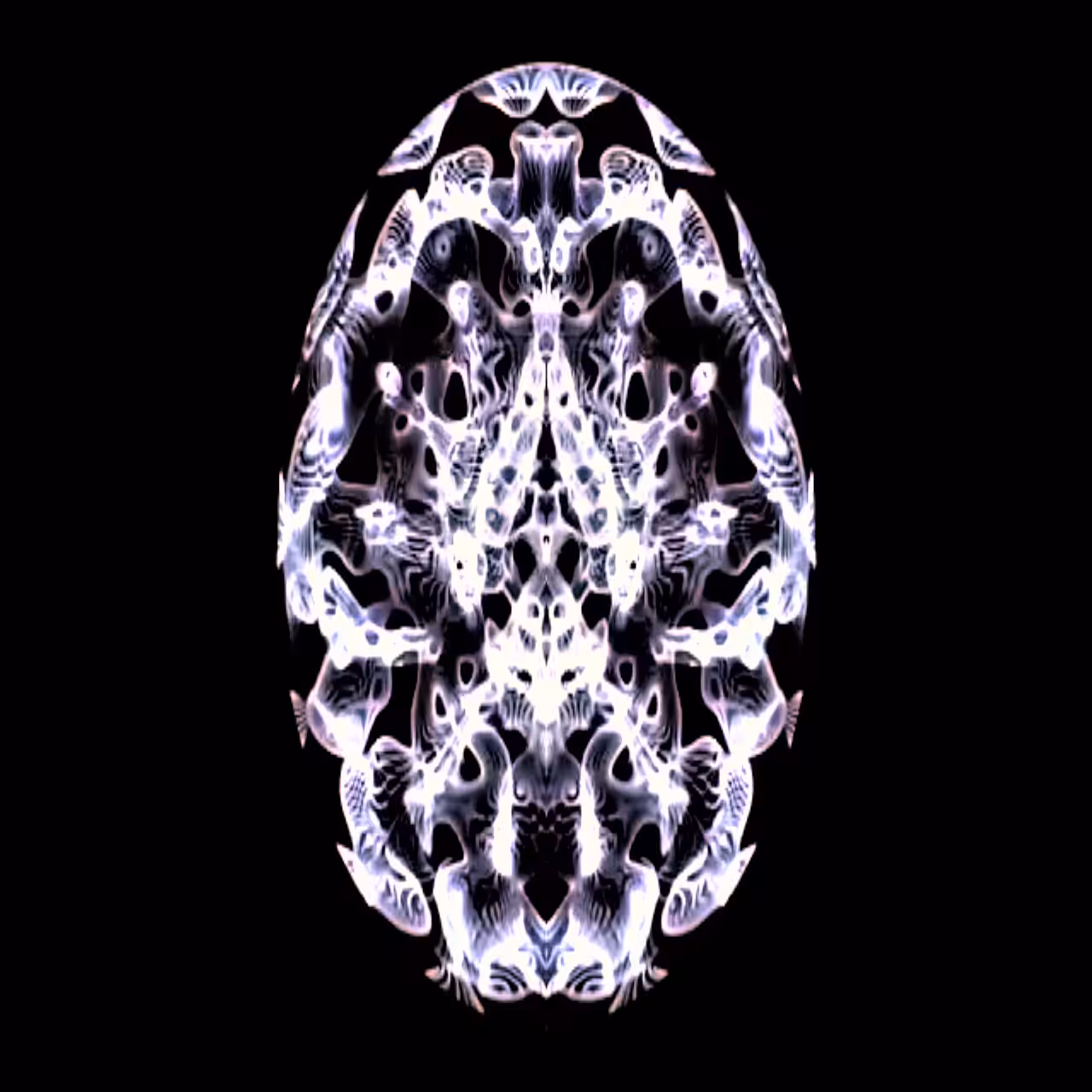 Crazy Egg 02