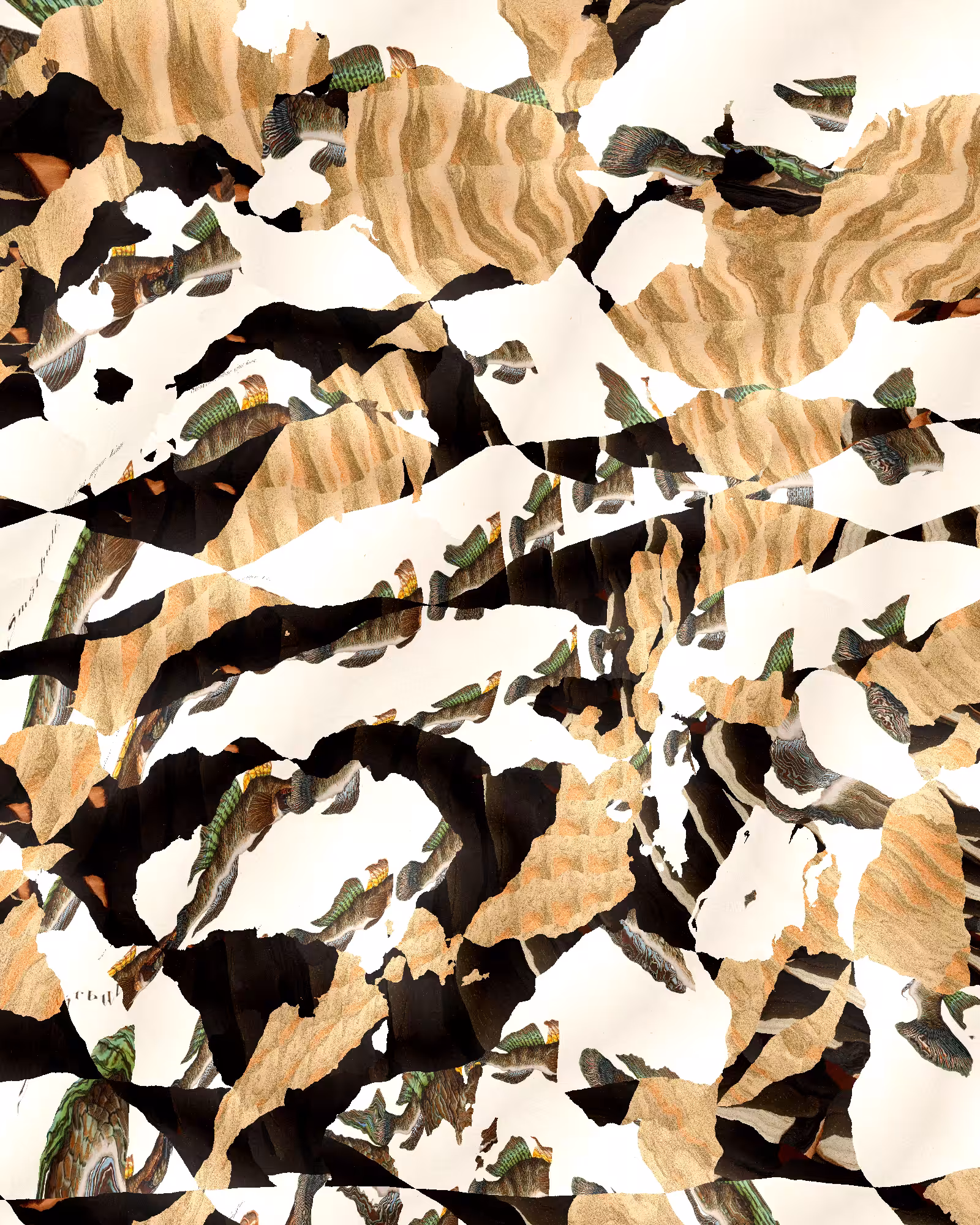 Repetition and Noise #1558
