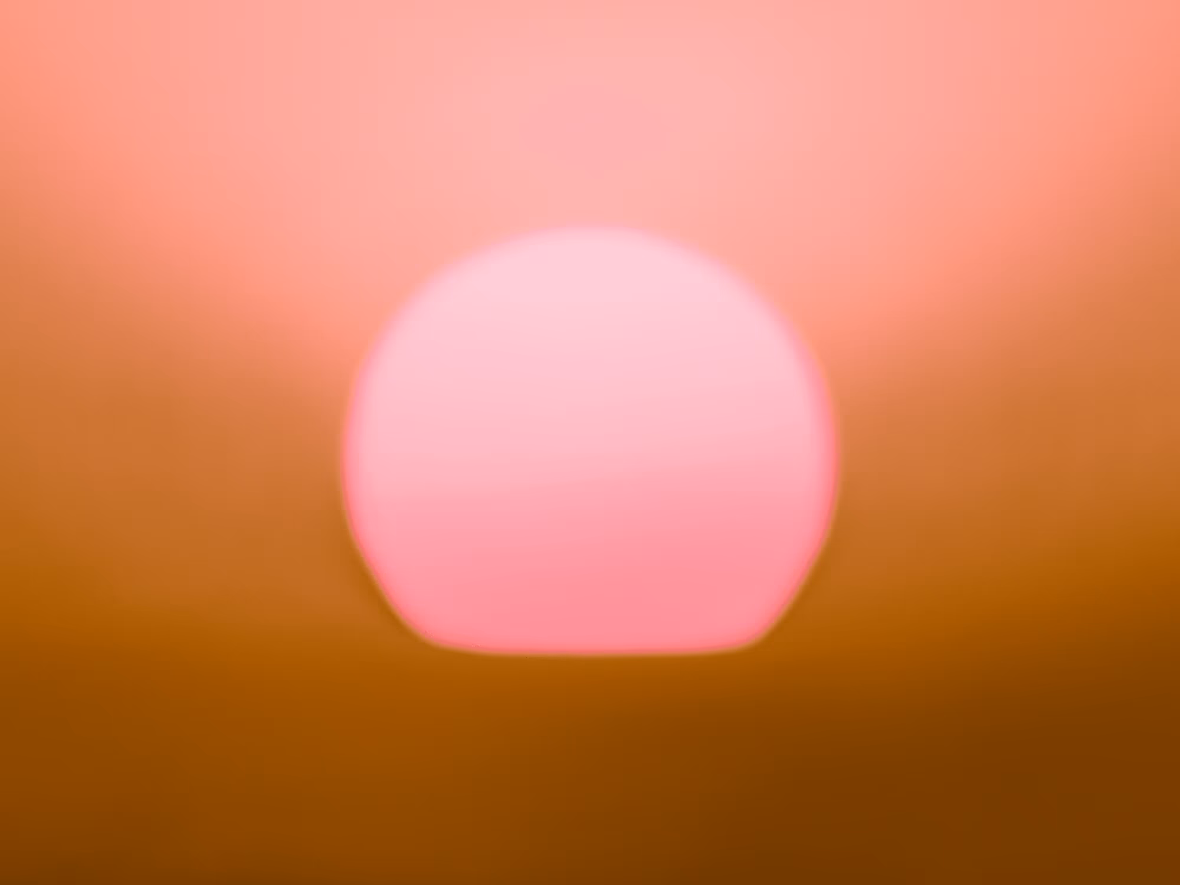 GM Sunshine No33