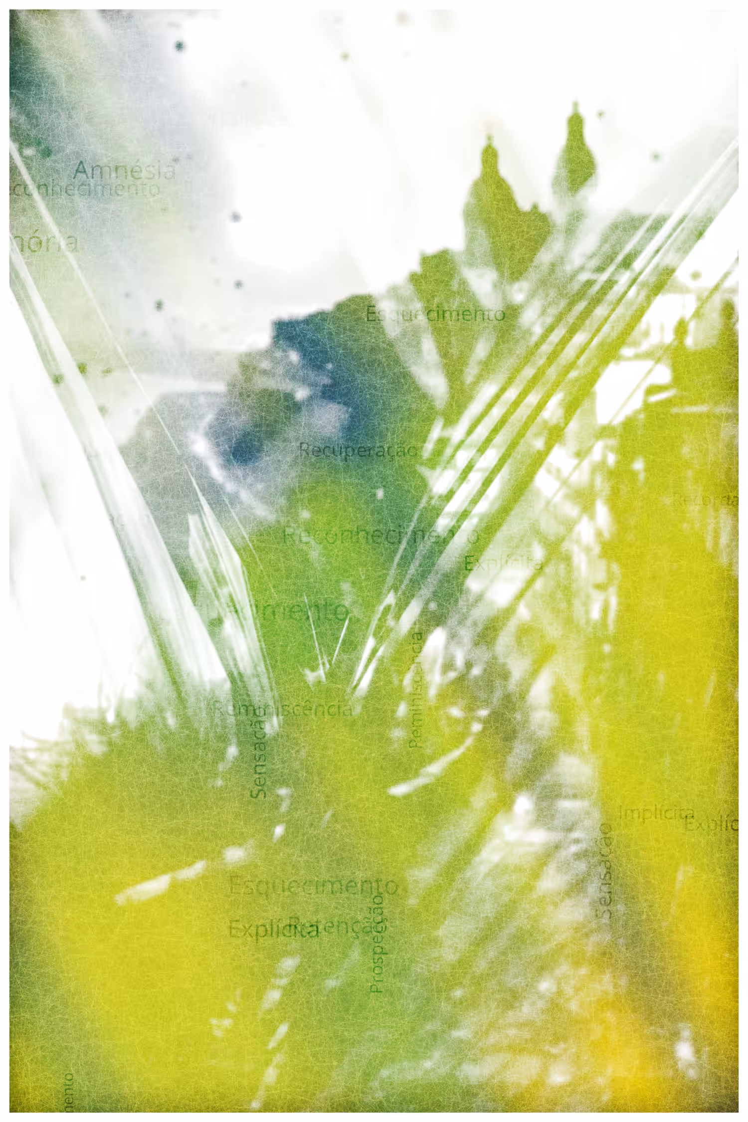 ANIMA #7