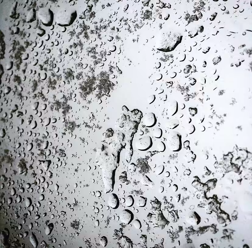 WASSER
