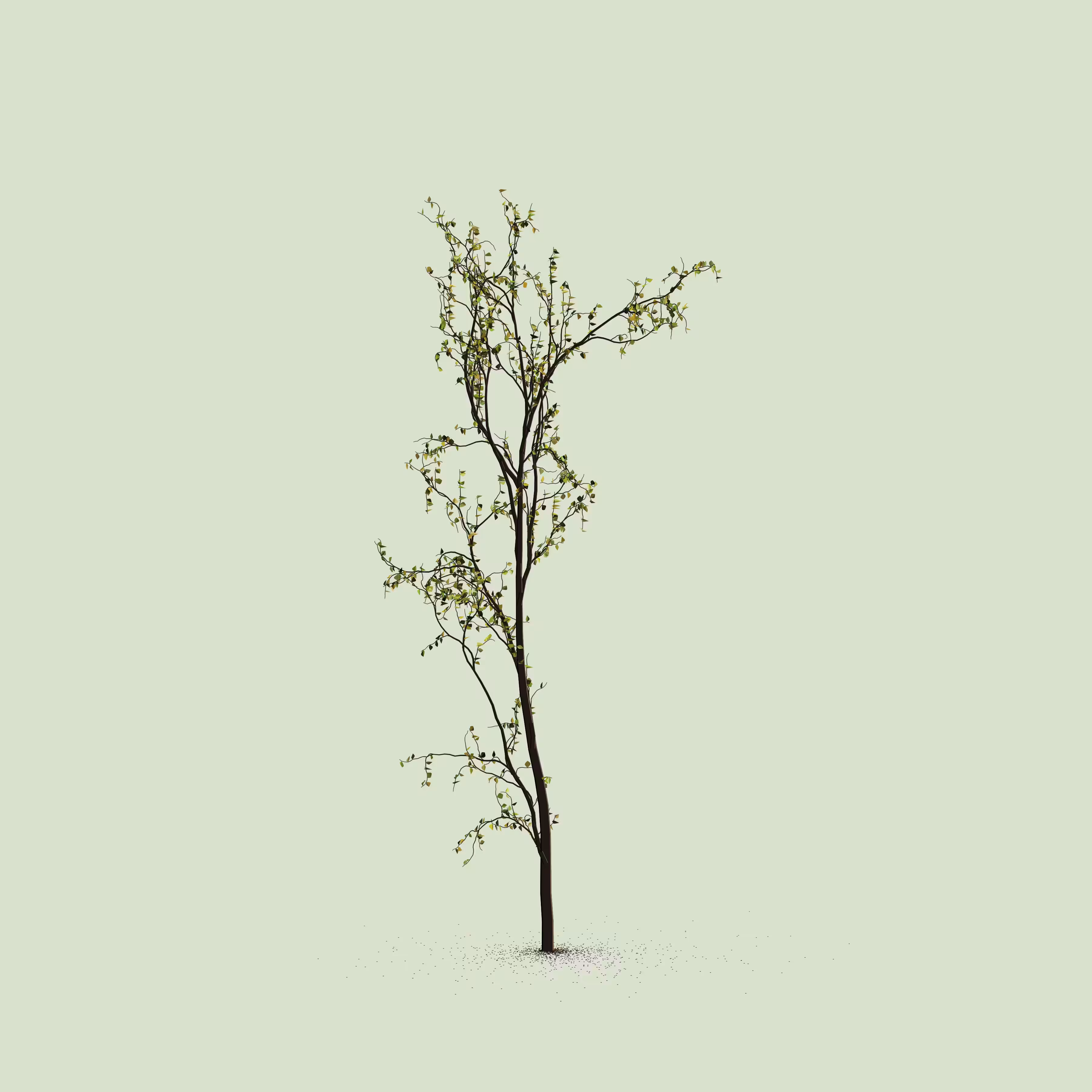 Little Trees #28