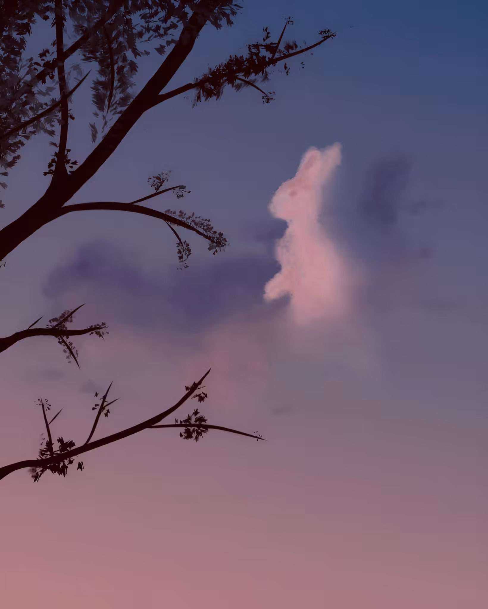 Art Of Abolfazl : A Rabbit In The Clouds