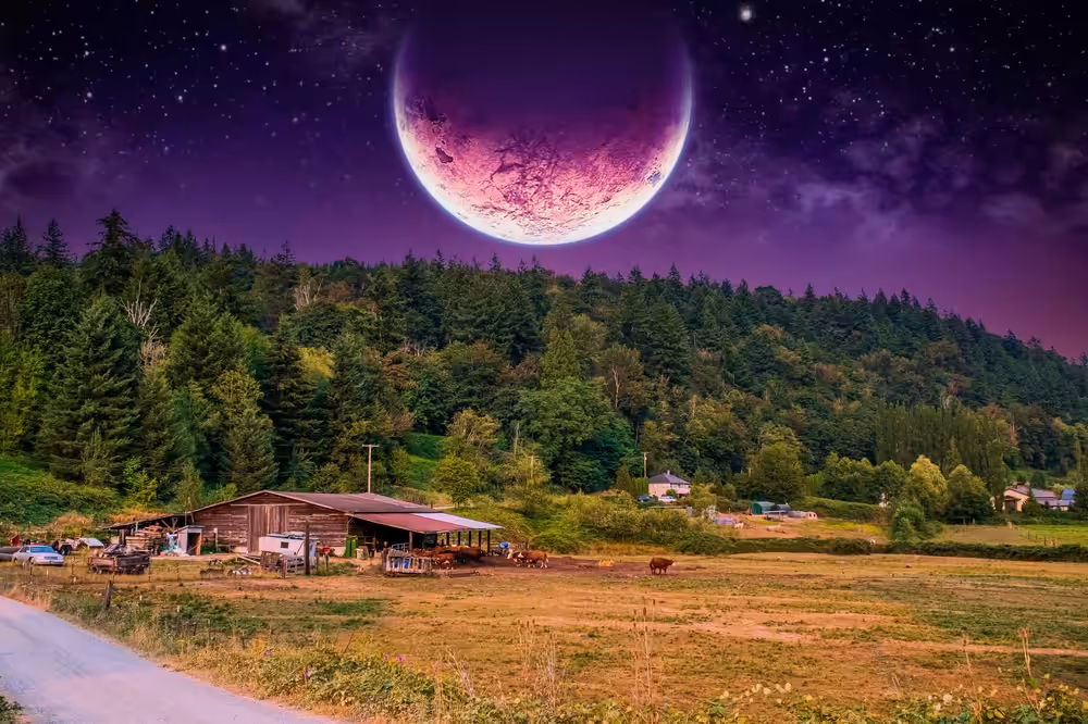 Maple Valley
