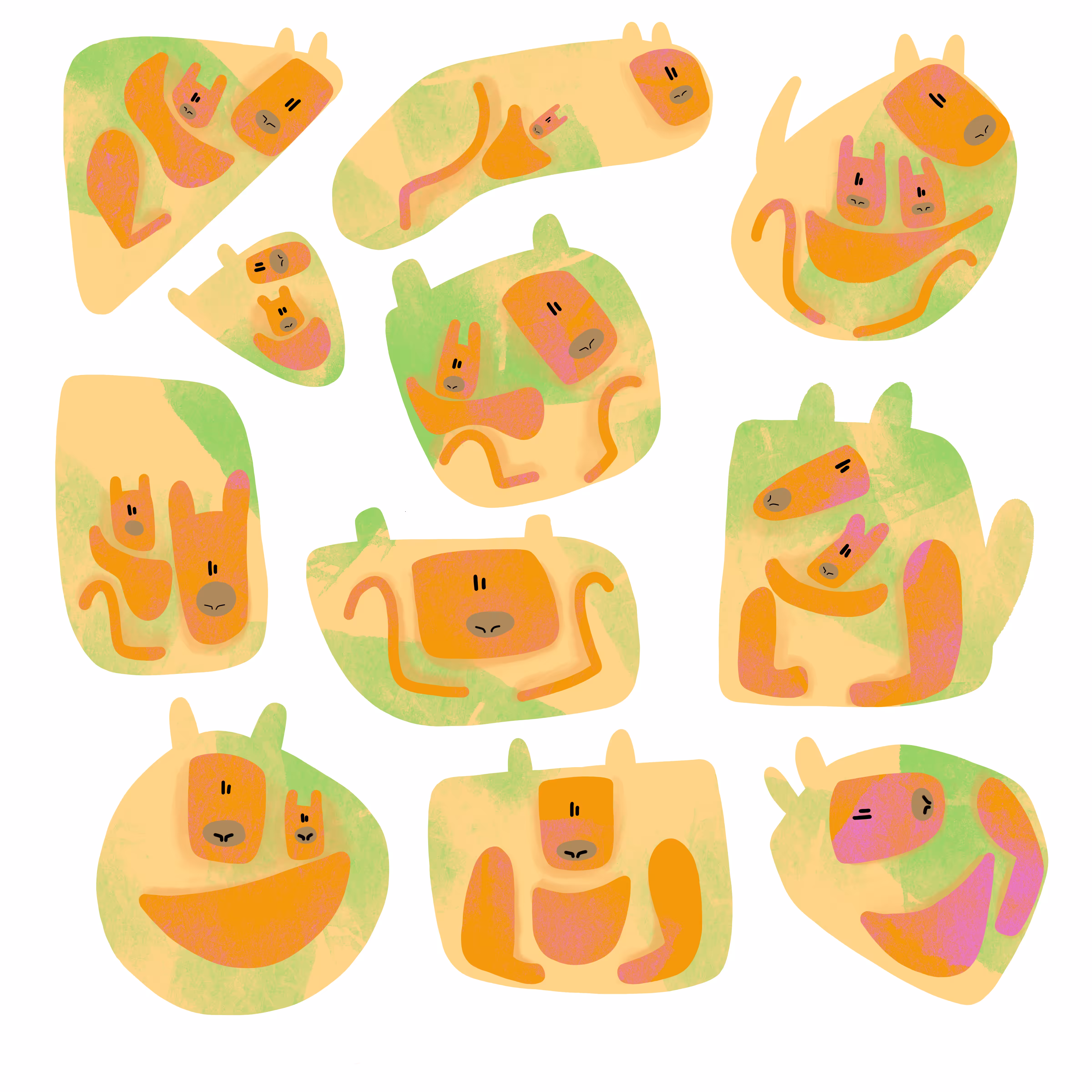 Just some Kangaroos!!