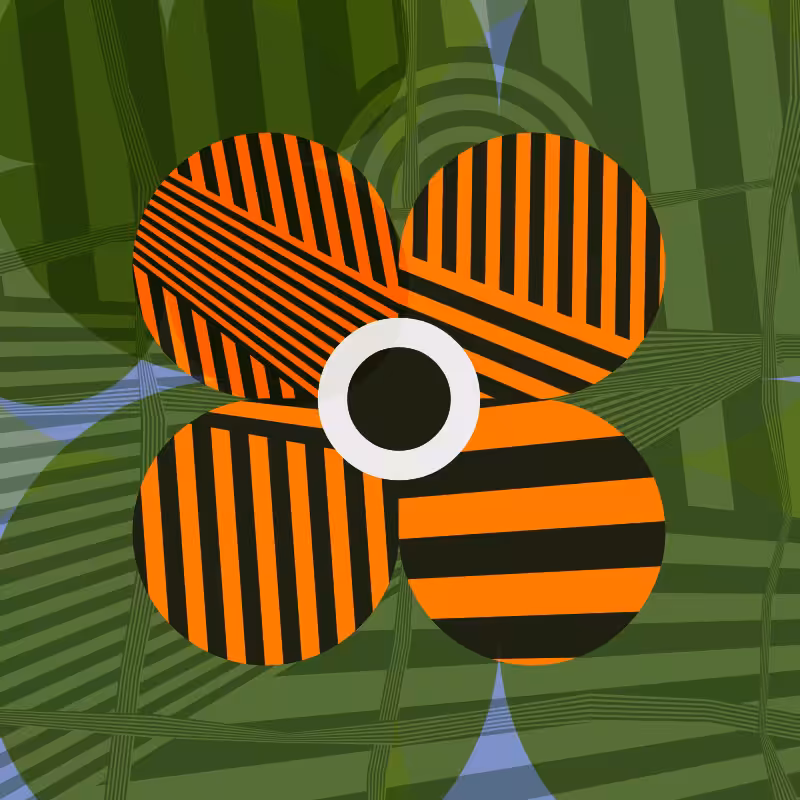 Dazzle Bloom: Big Orange #20