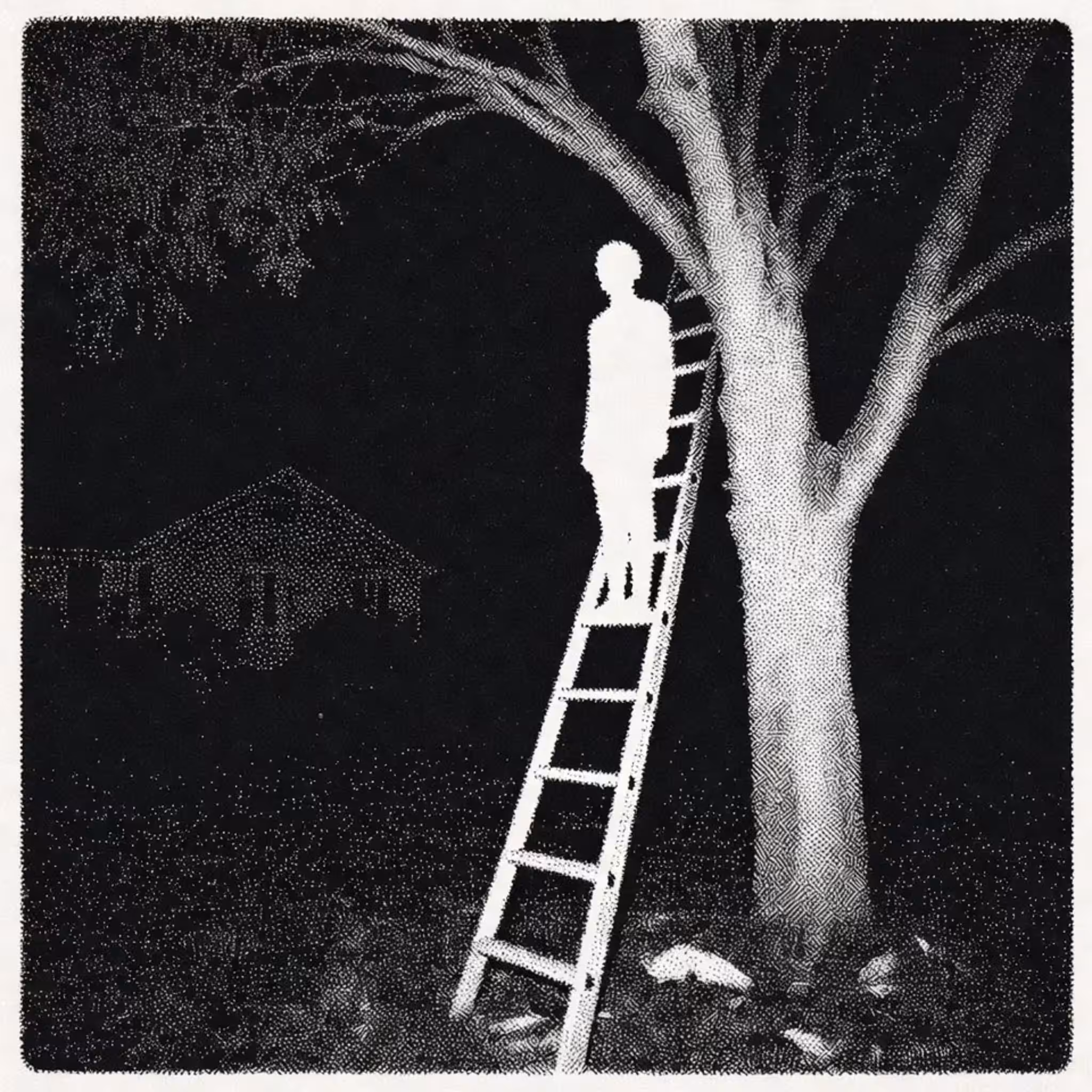 The High Light