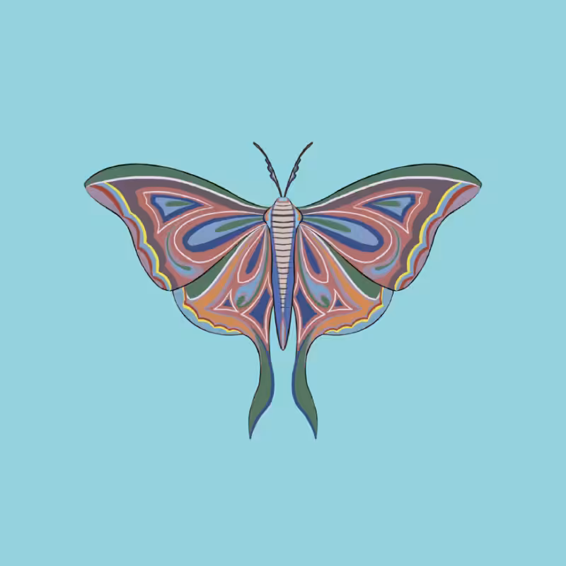 The Moth Experiment 2.0 P1 #21