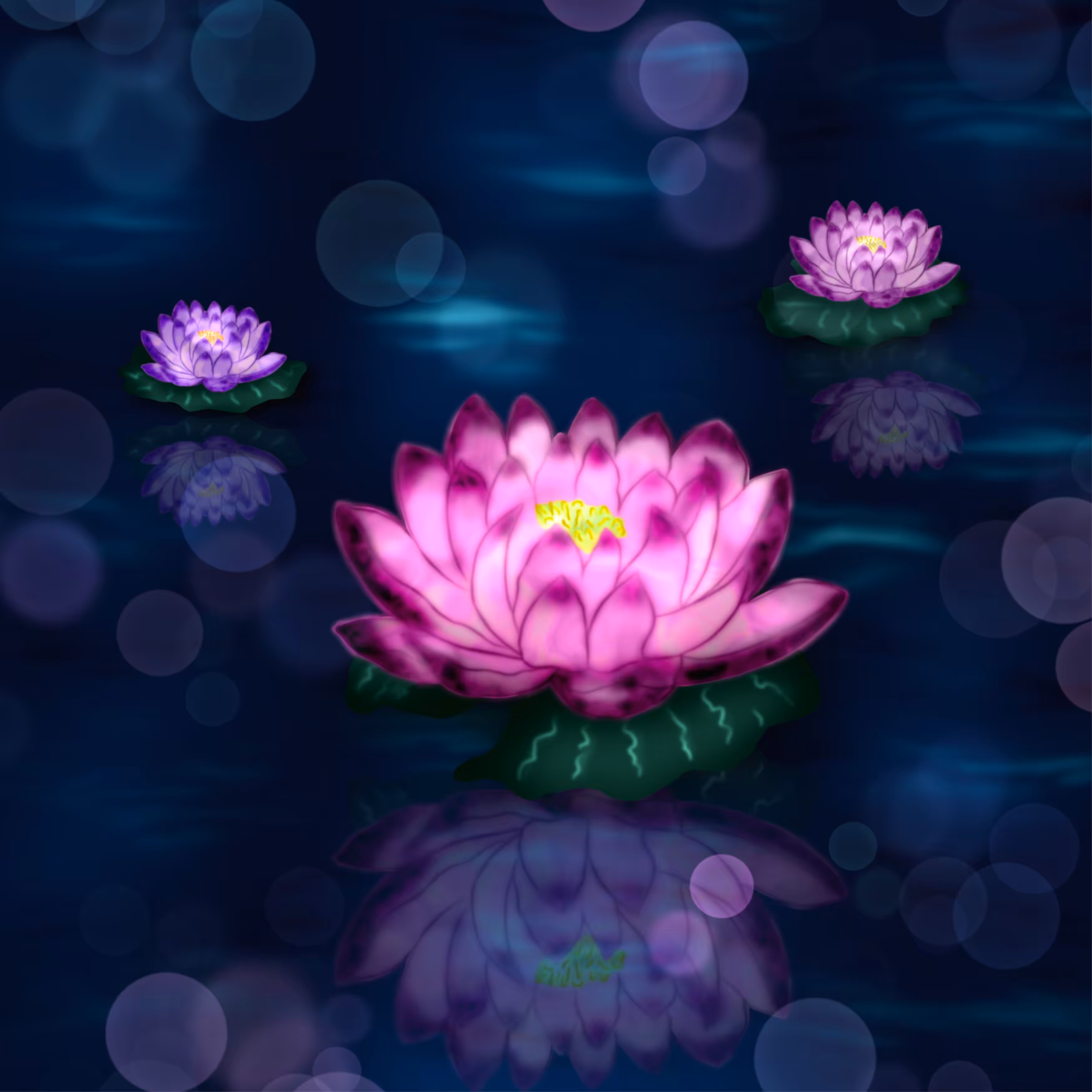 The captivating beauty of water lilies