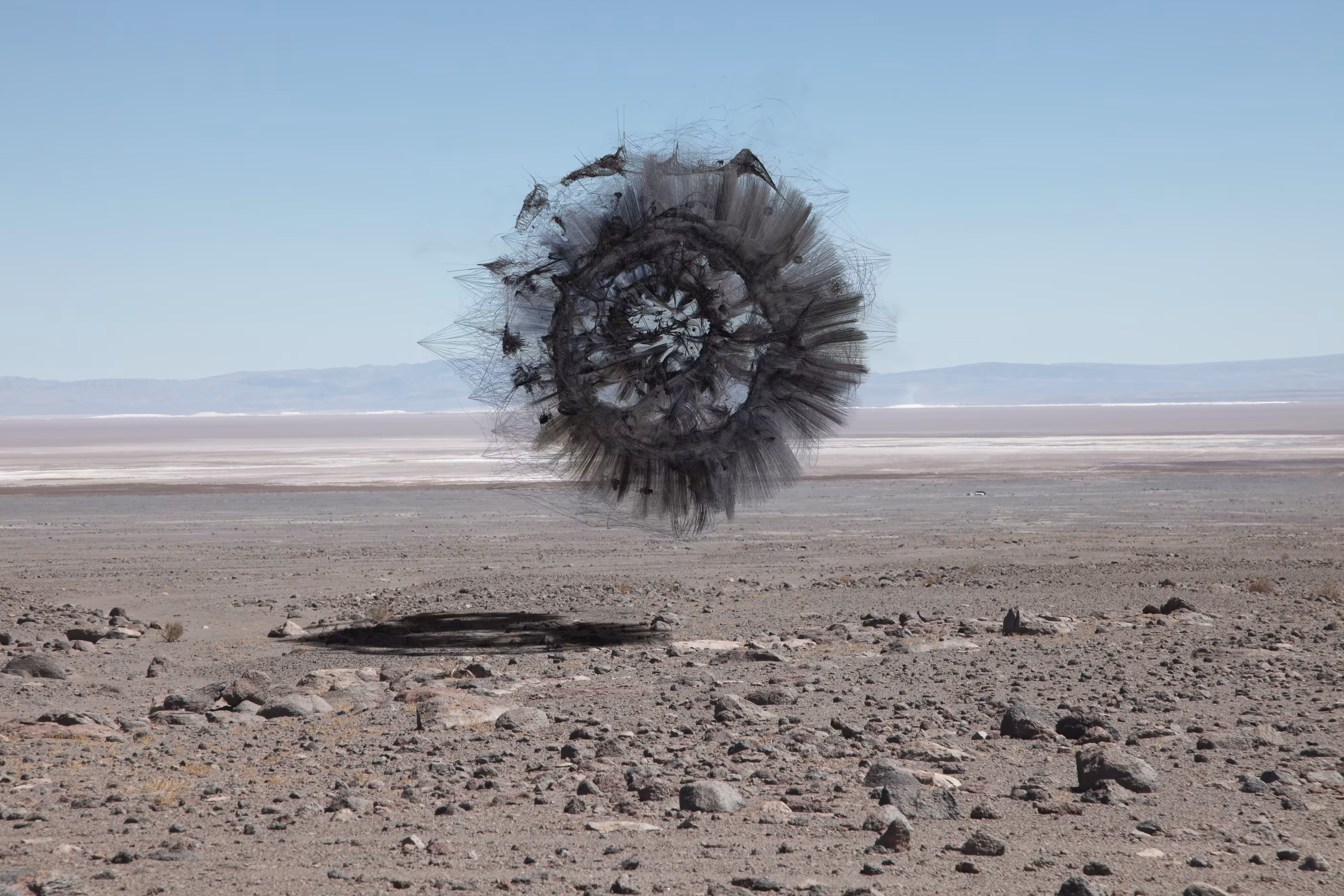 Desert visions: Wheel of fortune