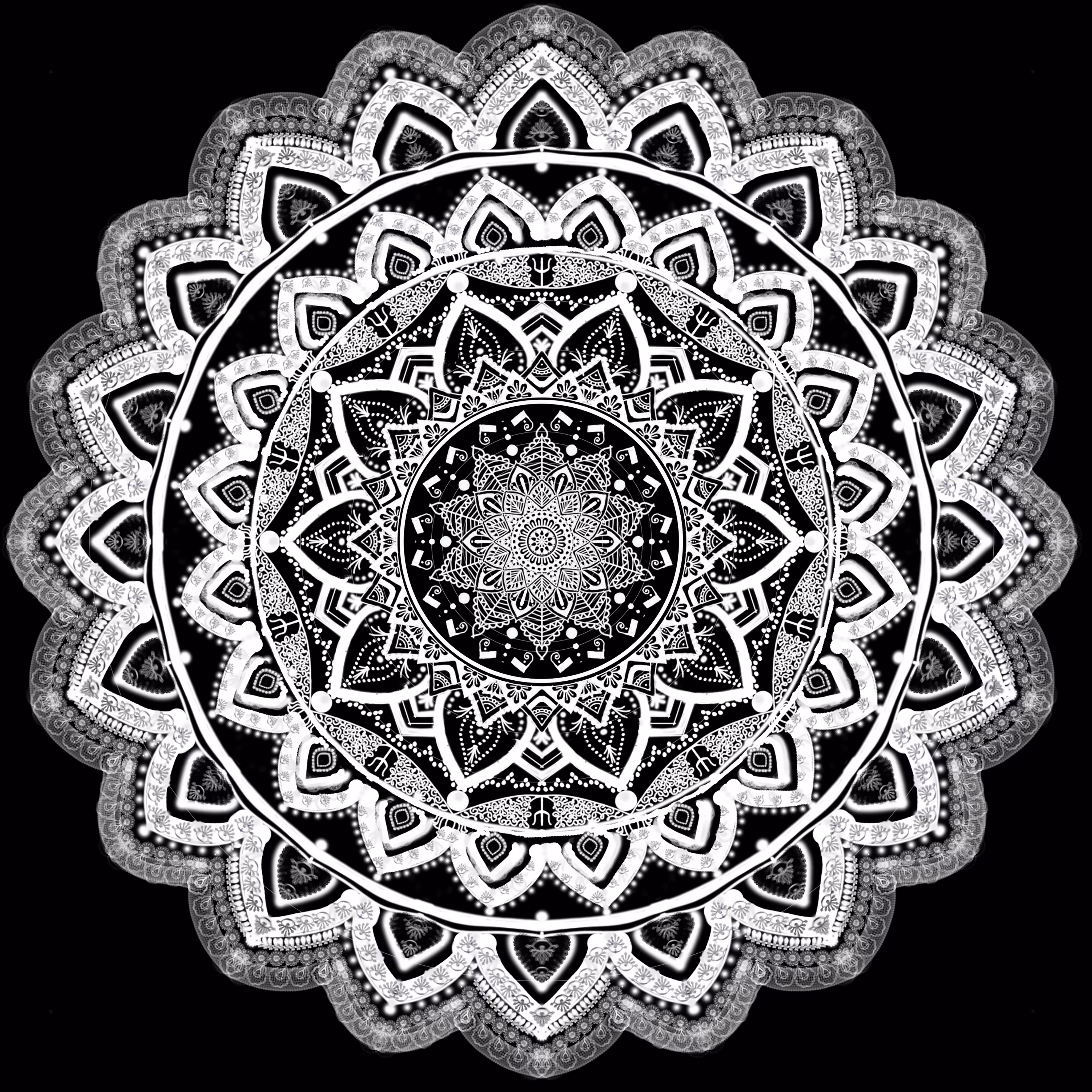 "Artsy Mono Serenity🎨✍️"