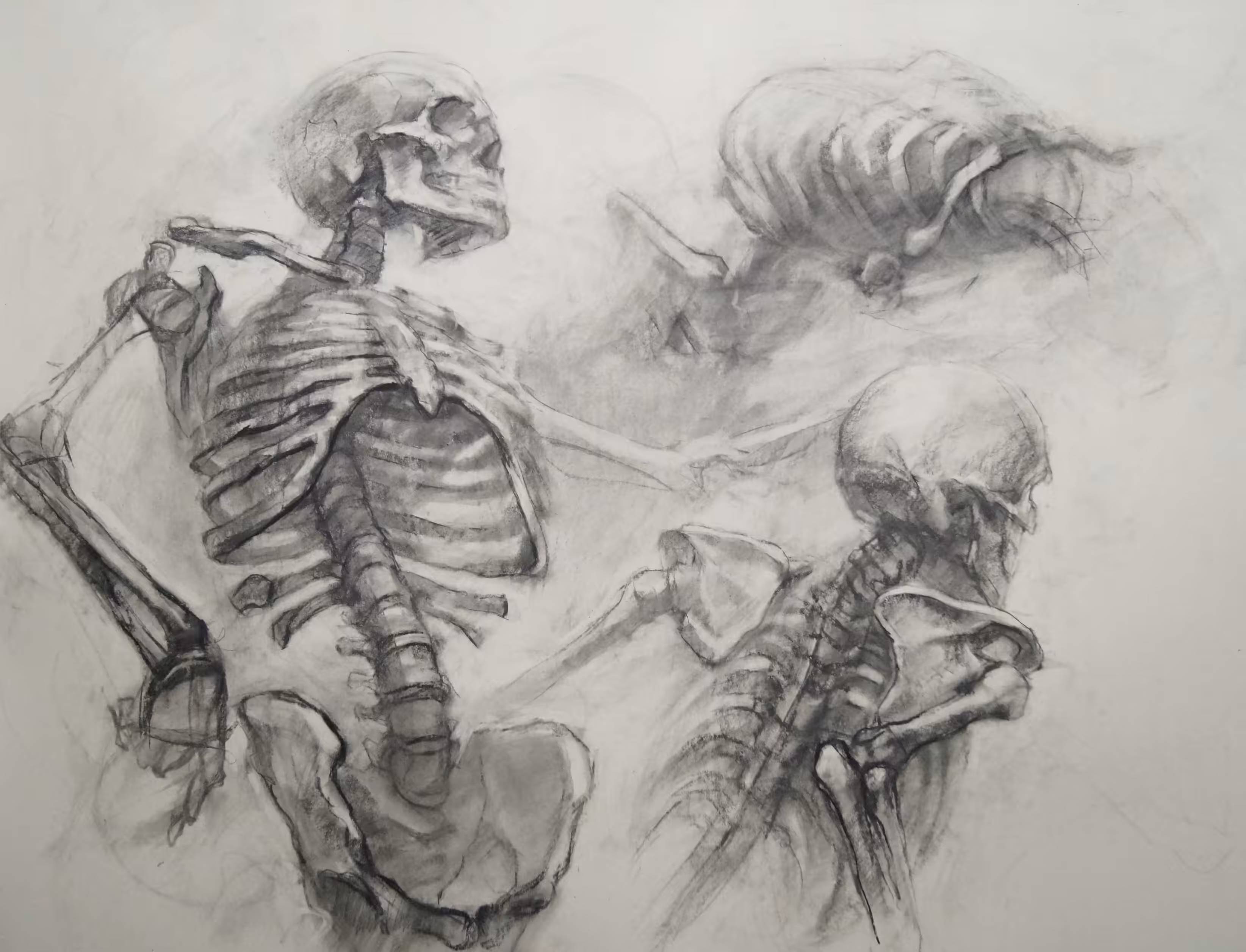 Anatomy Study Part II