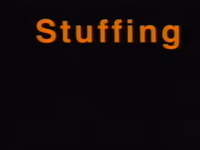 Stuffing (4:00) 1998 by Animal Charm (rich bott & jim fetterley) 