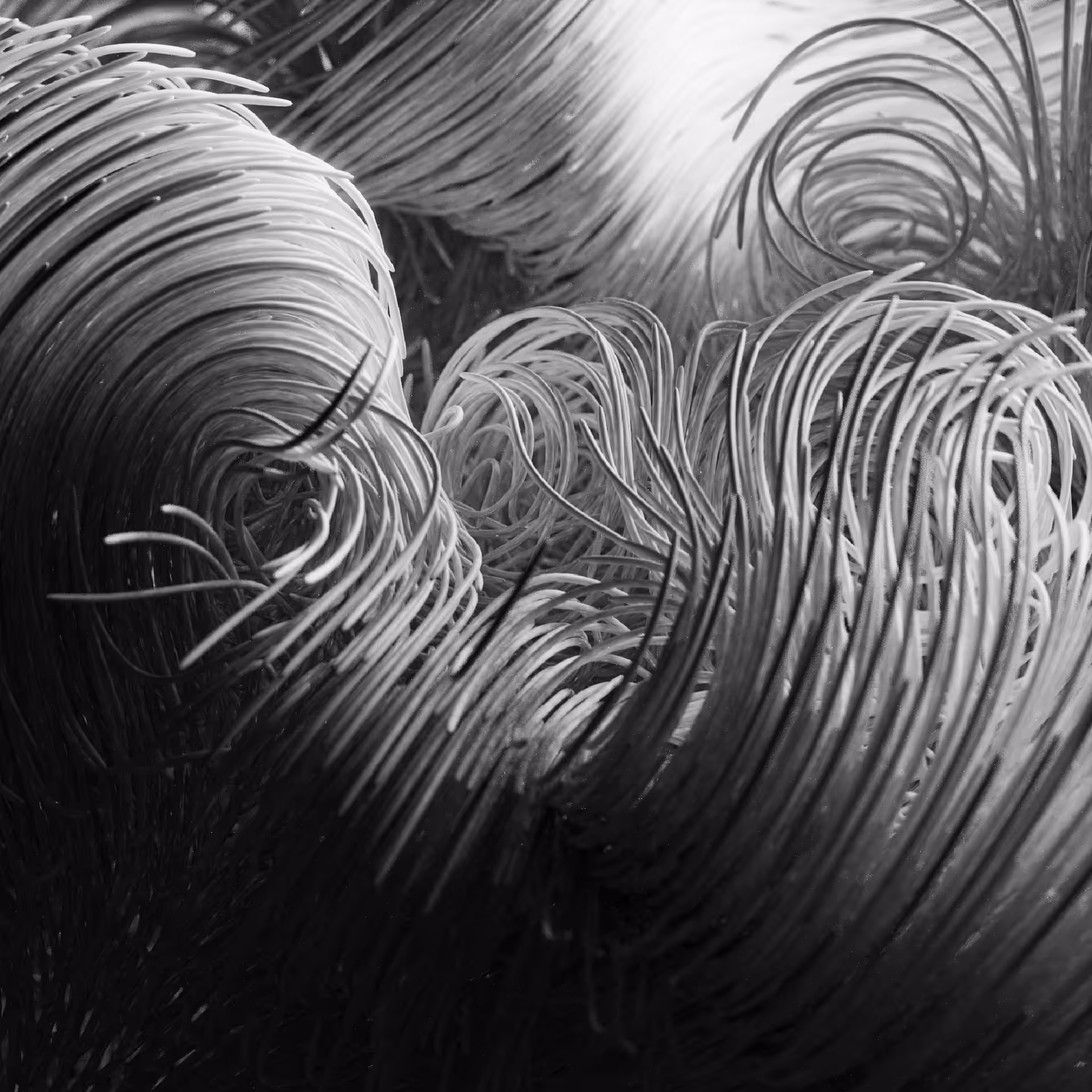 Generative Vortex