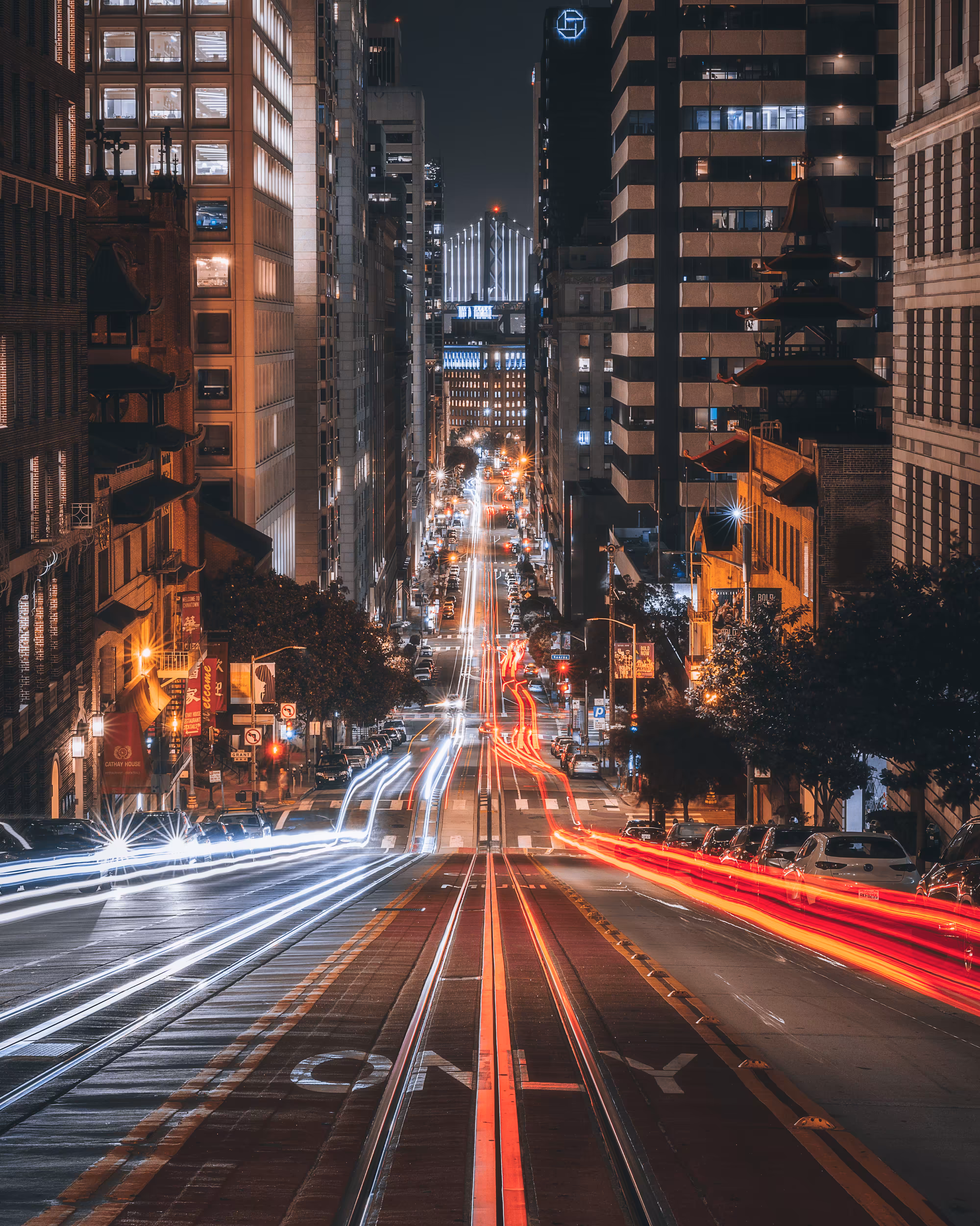 Bay Beginnings #34 // Cali Street Trails