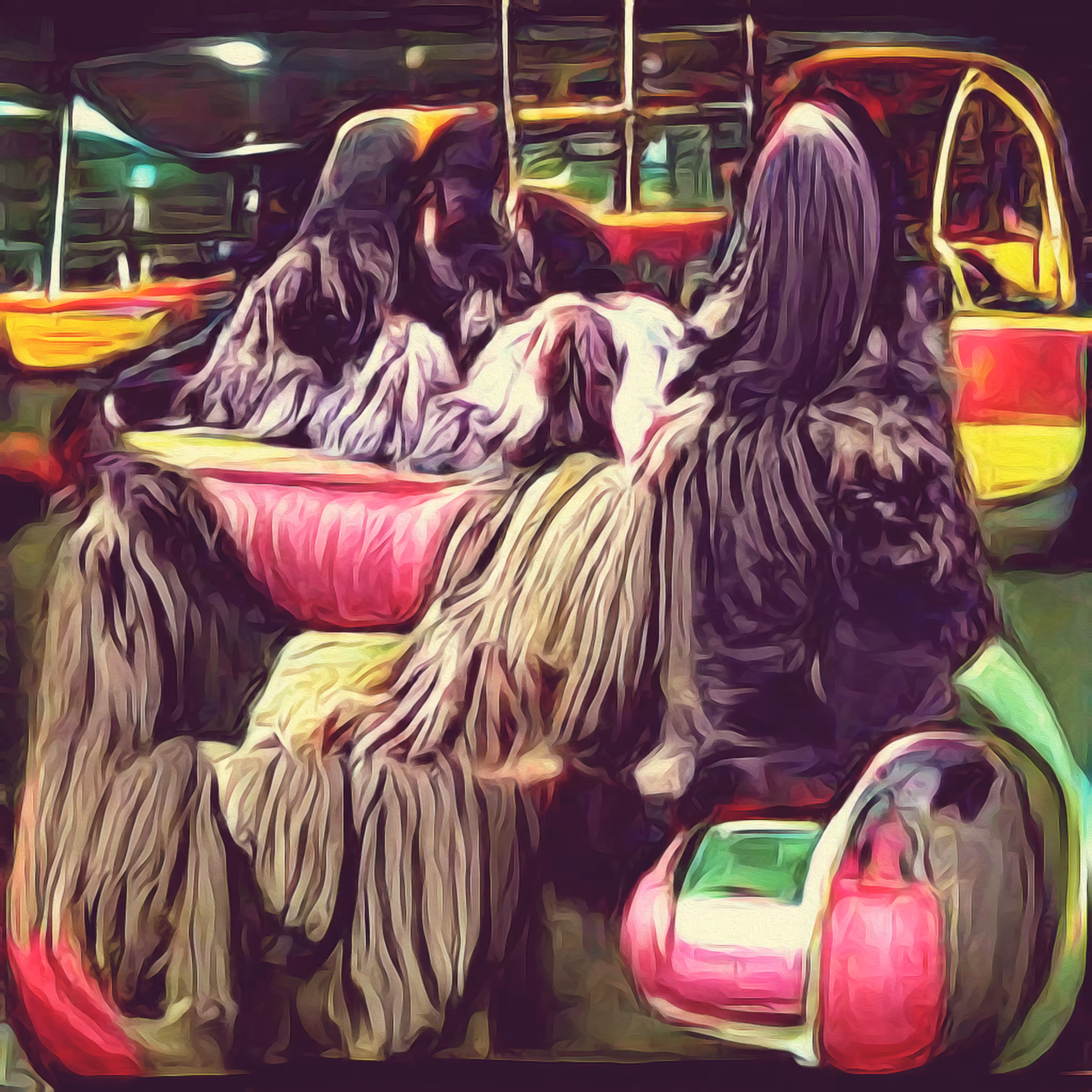 Talibans on bumper cars #6