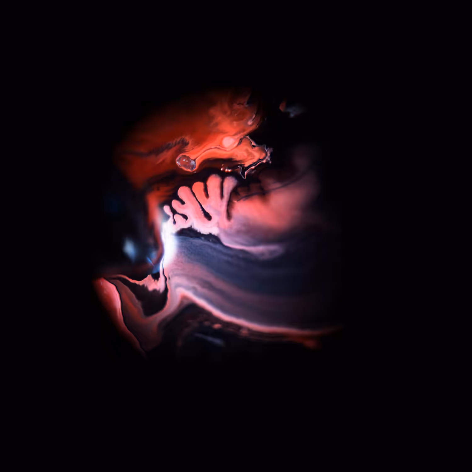 Hailea — Planetarium / #2