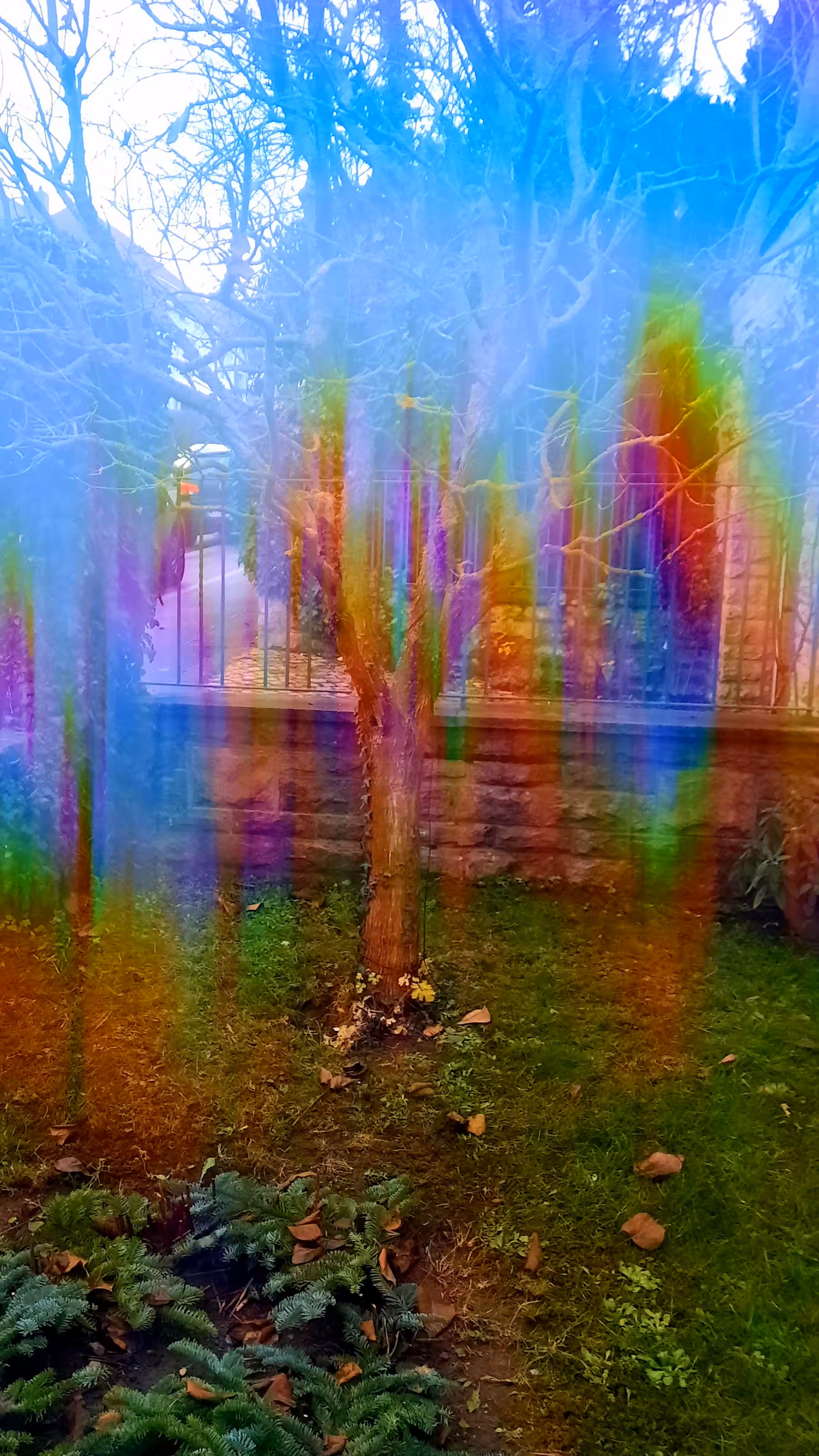 Spectral garden