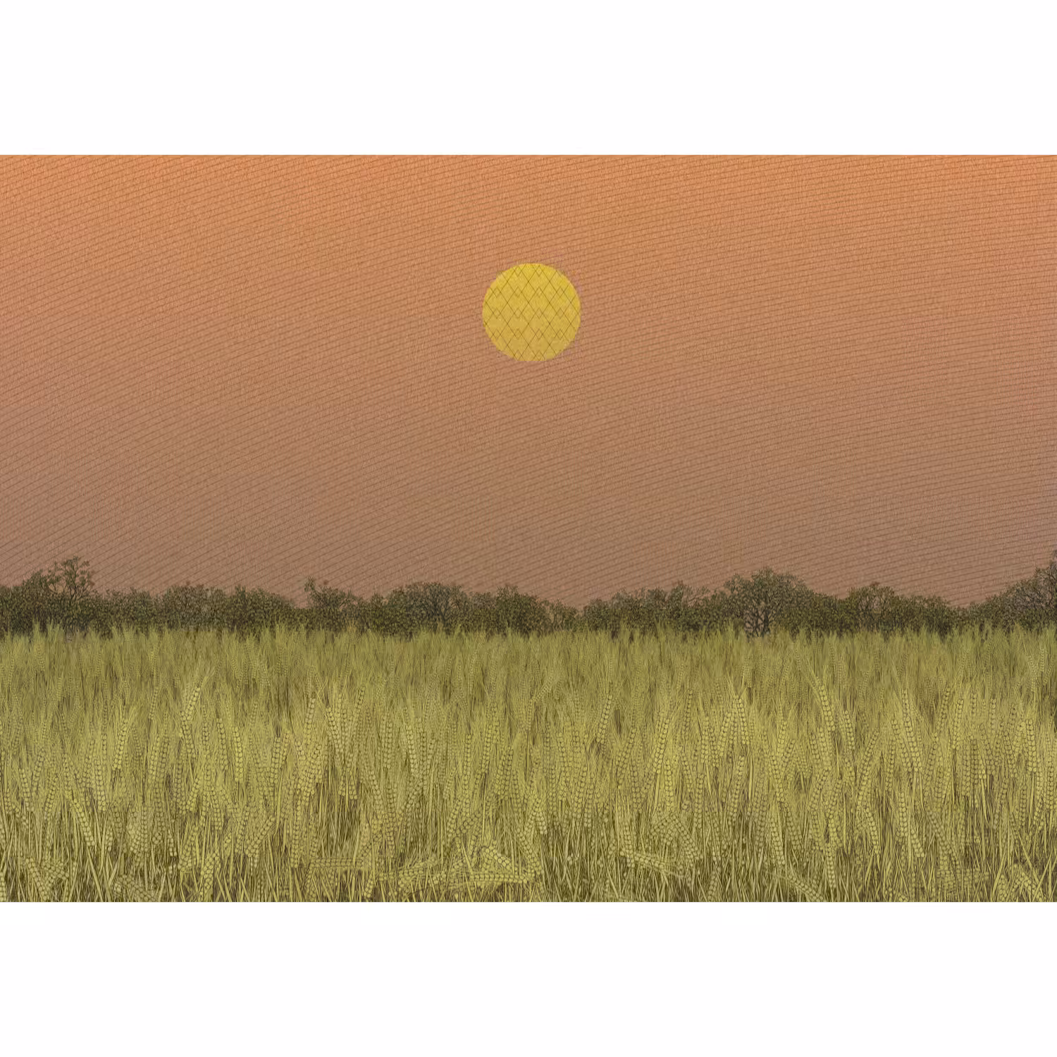 Fields of the Abandoned Homeland #1