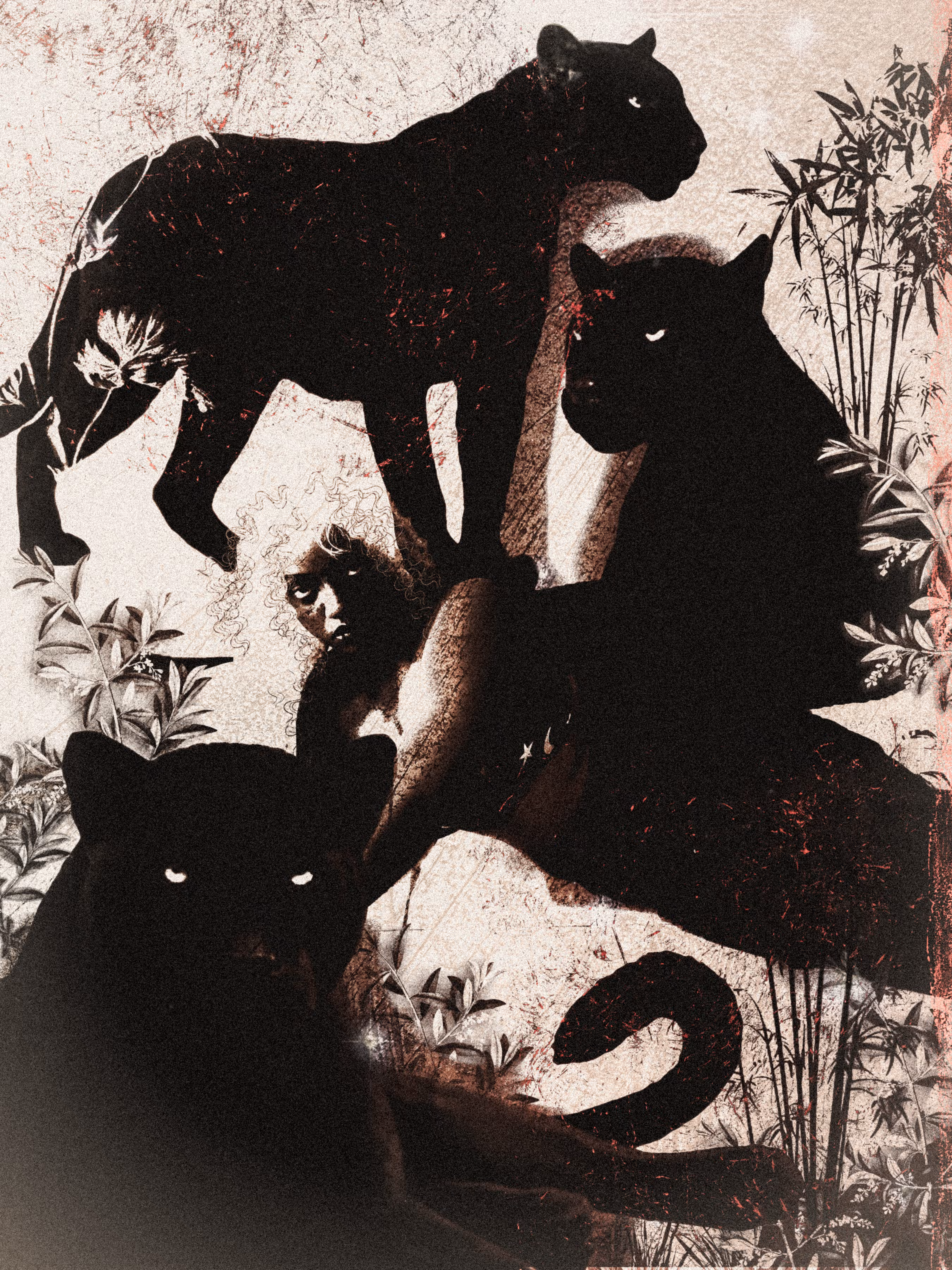 Panthera