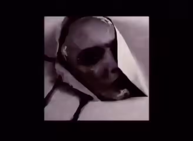 HEAD #666