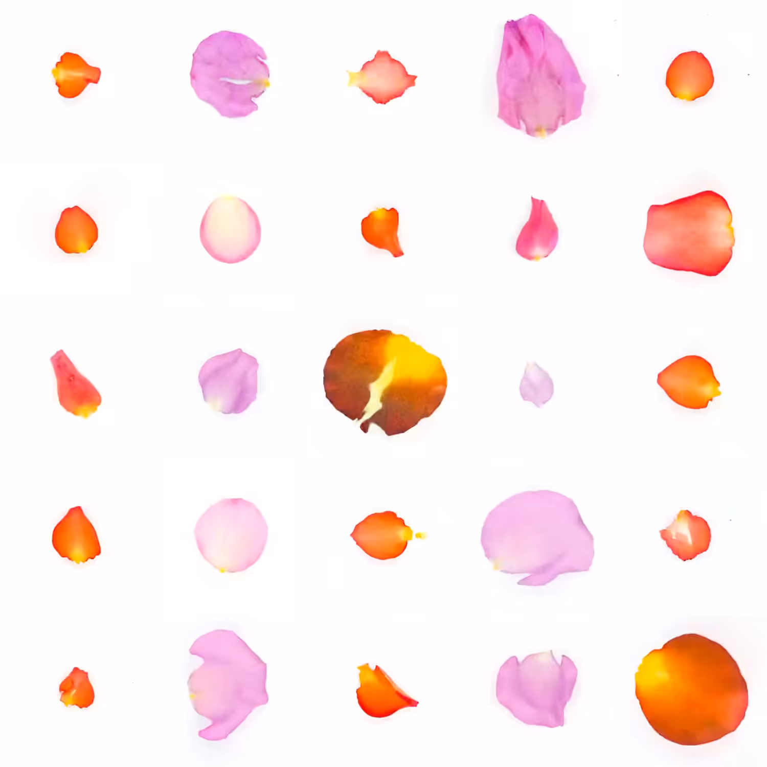 Infinite Petals 5x5#22144