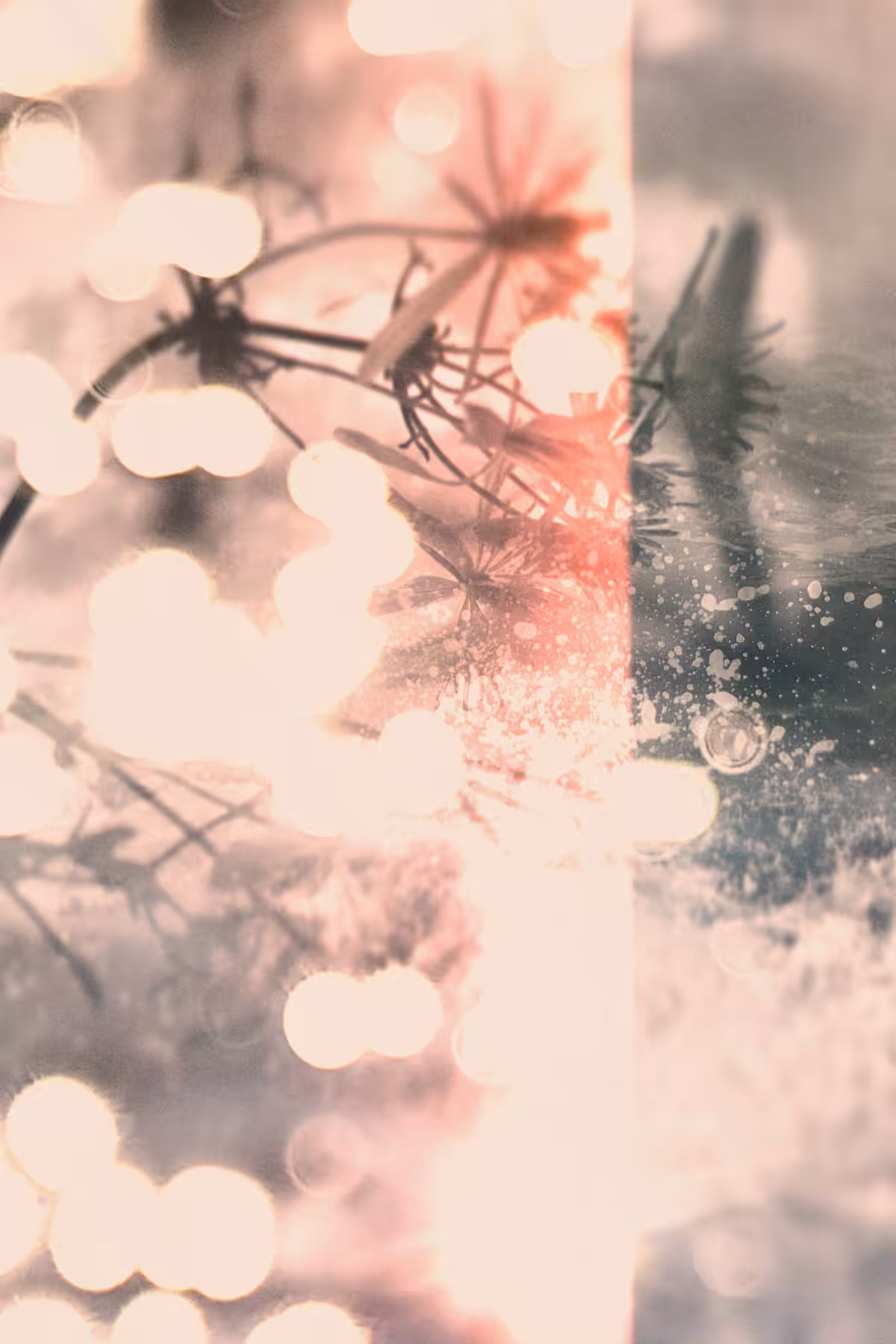 Diaries #32