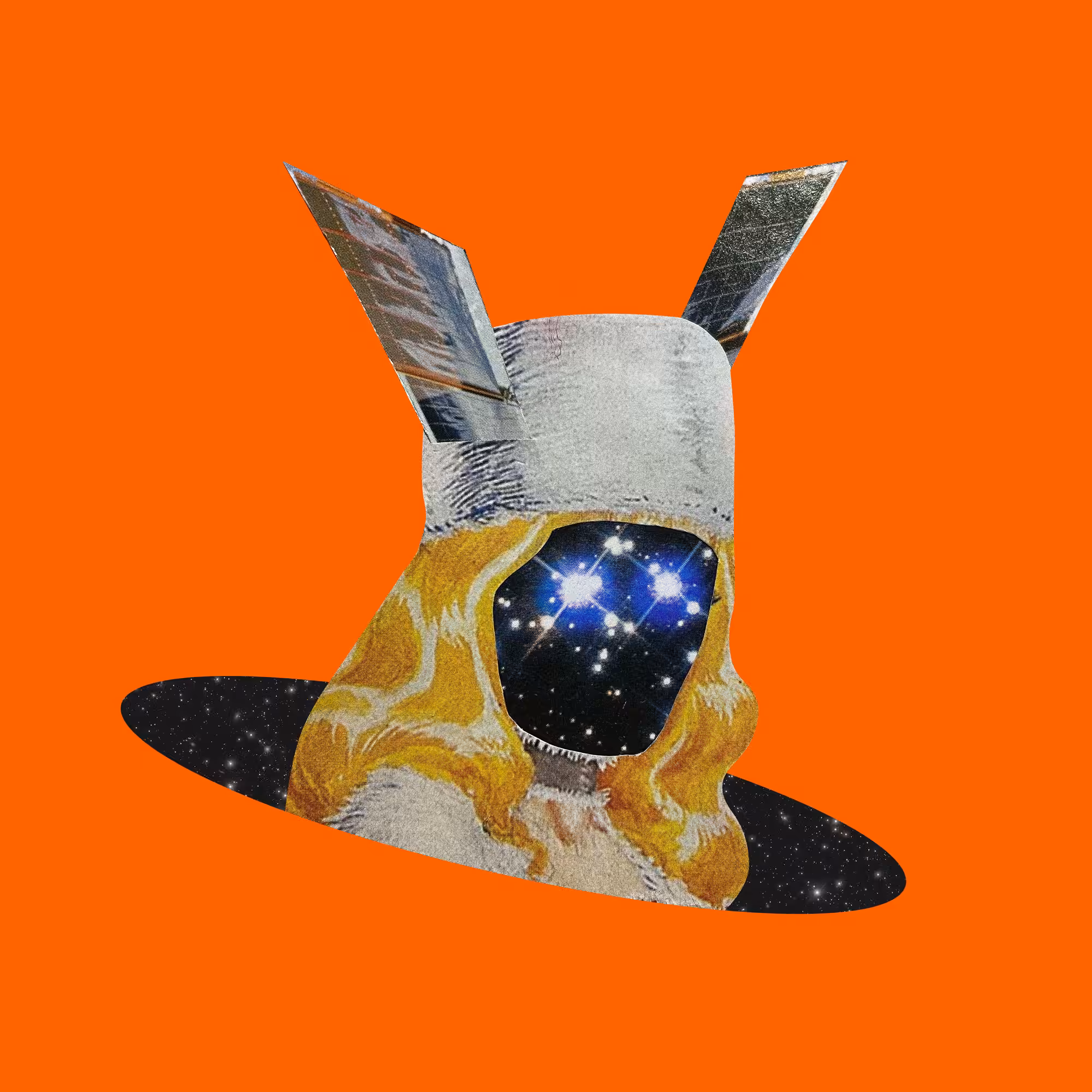 Stellar dude