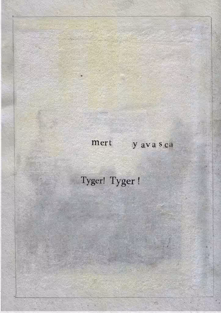 Tyger Tyger Collectors Edition