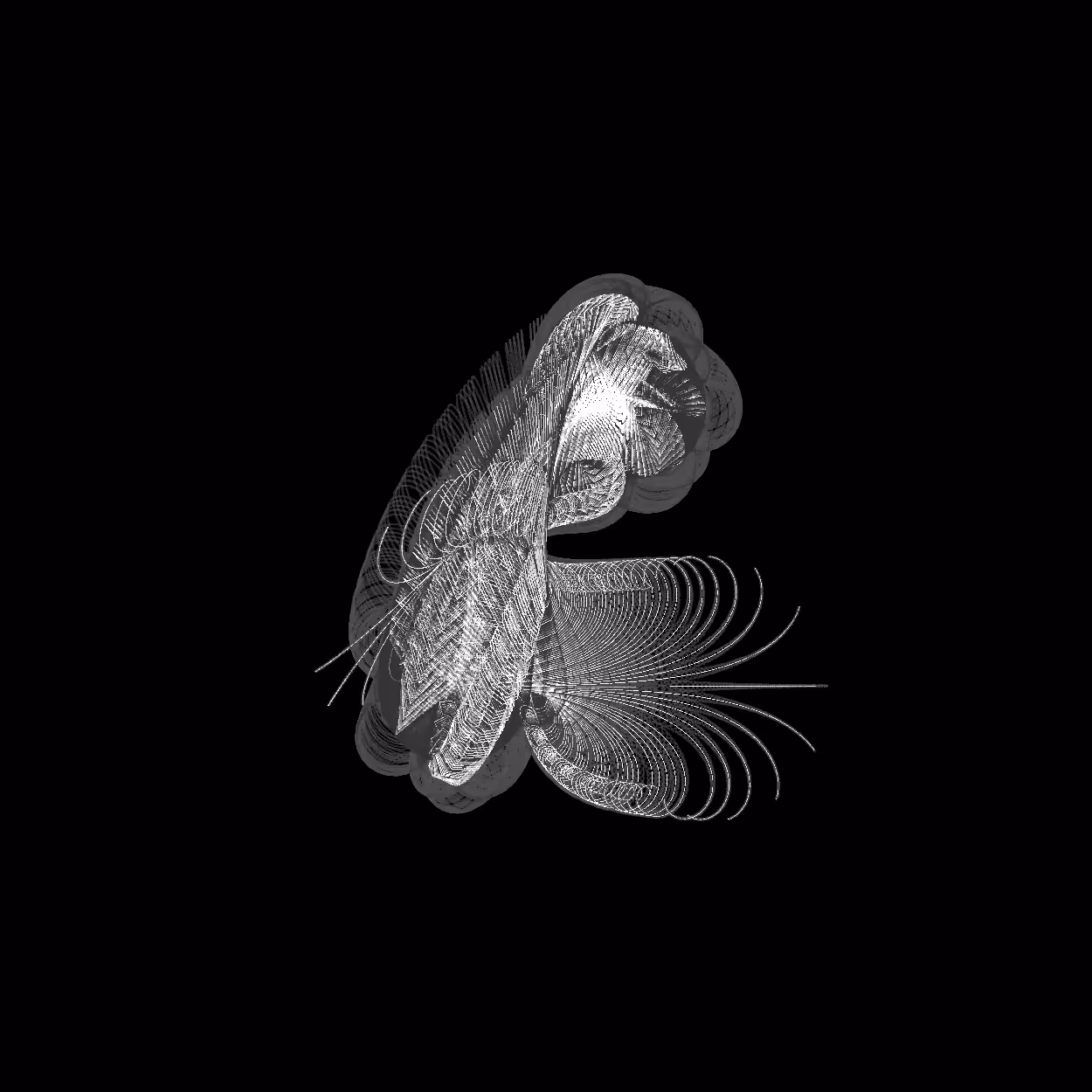 Sketches of Unidentified Plankton #33