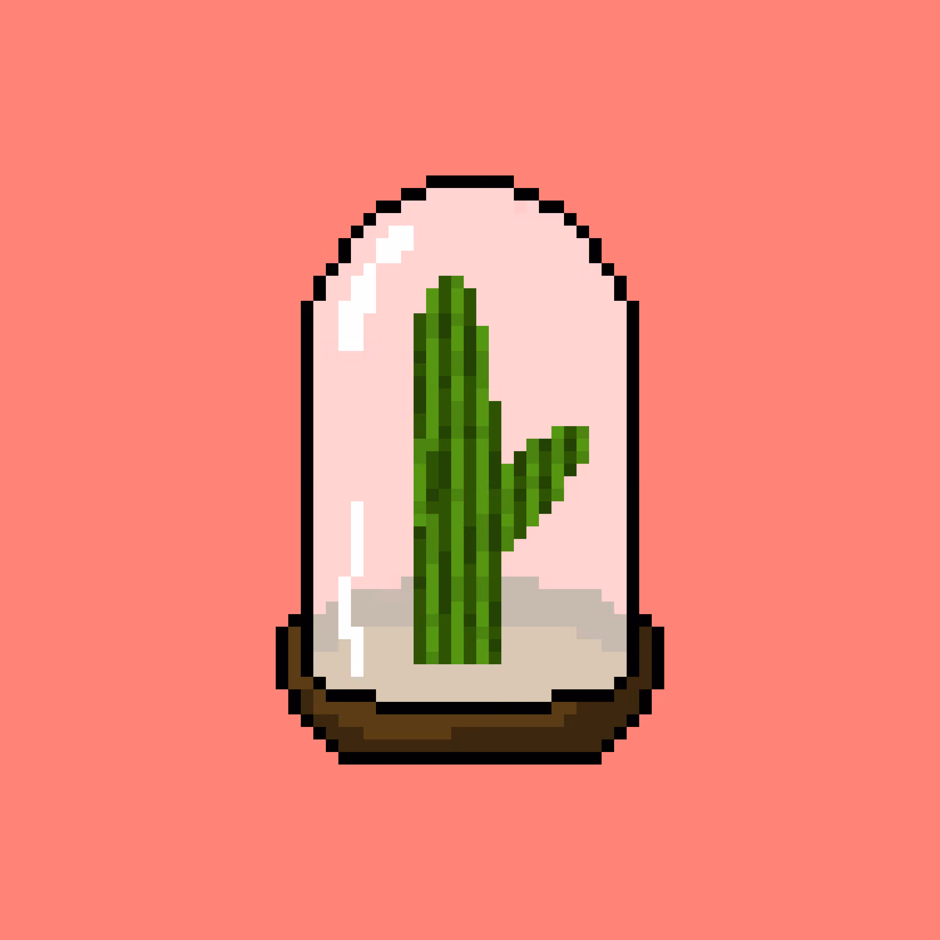 Dome 16 - Cactus