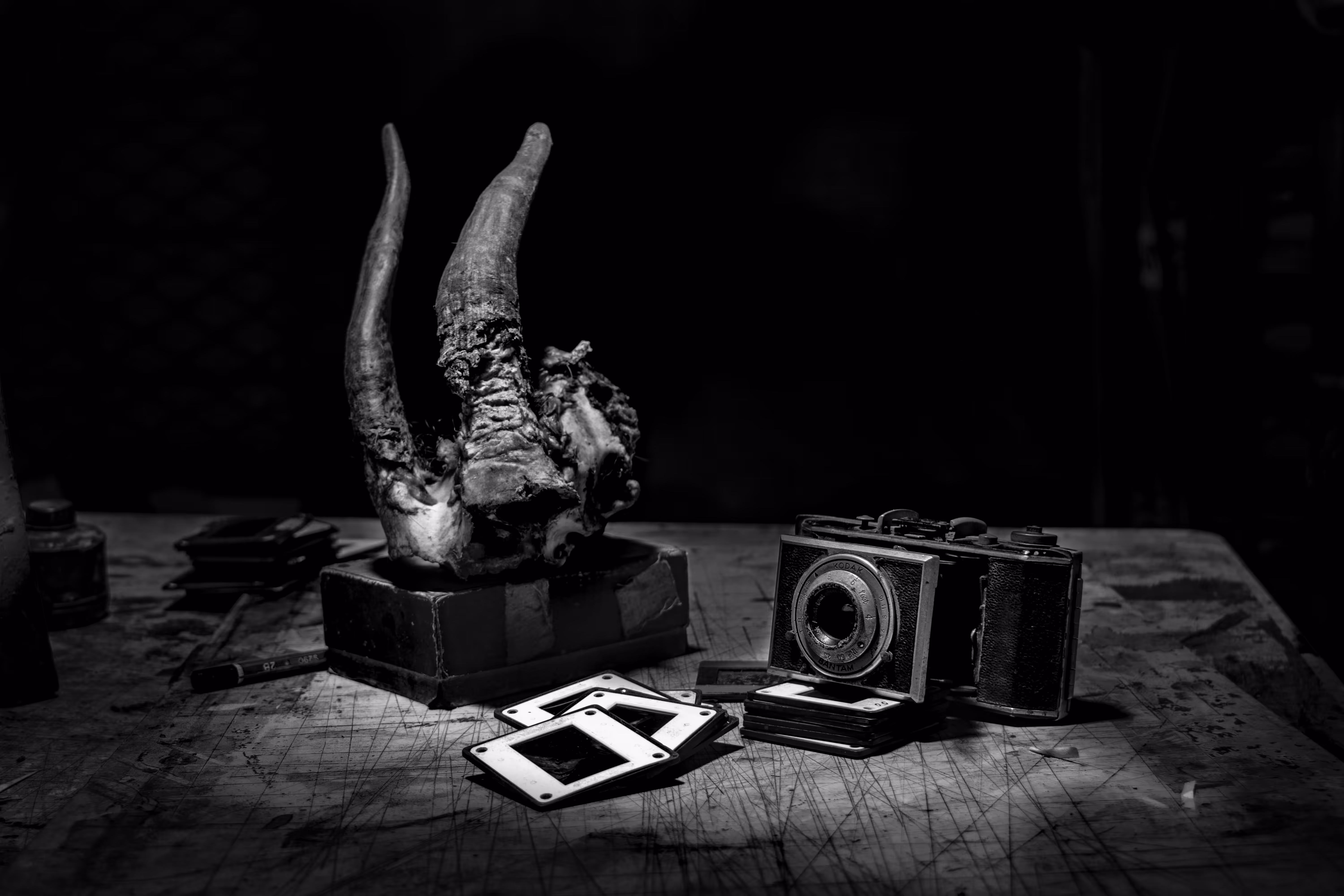 still life #1