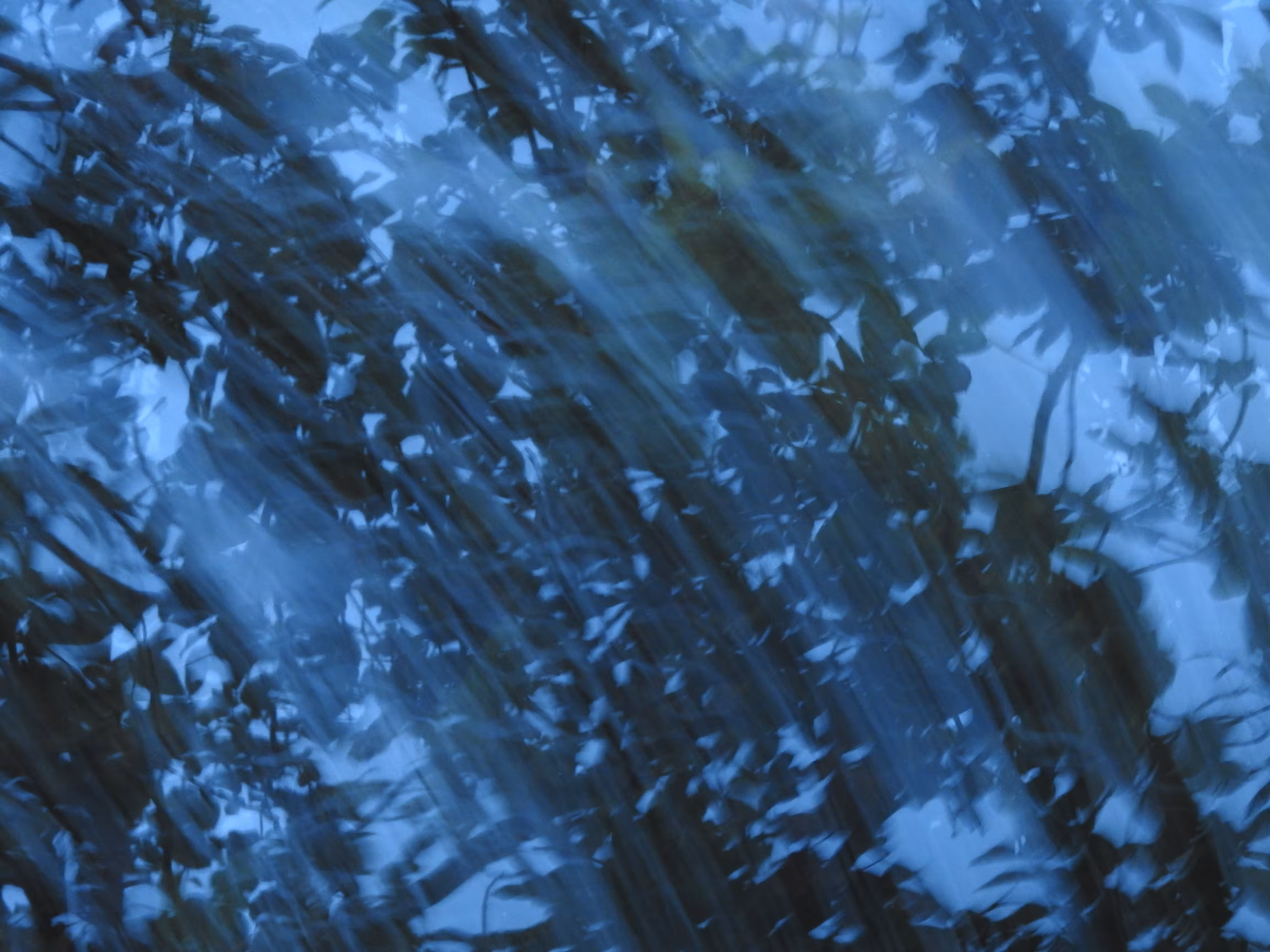 painting with a camera - Piece 03