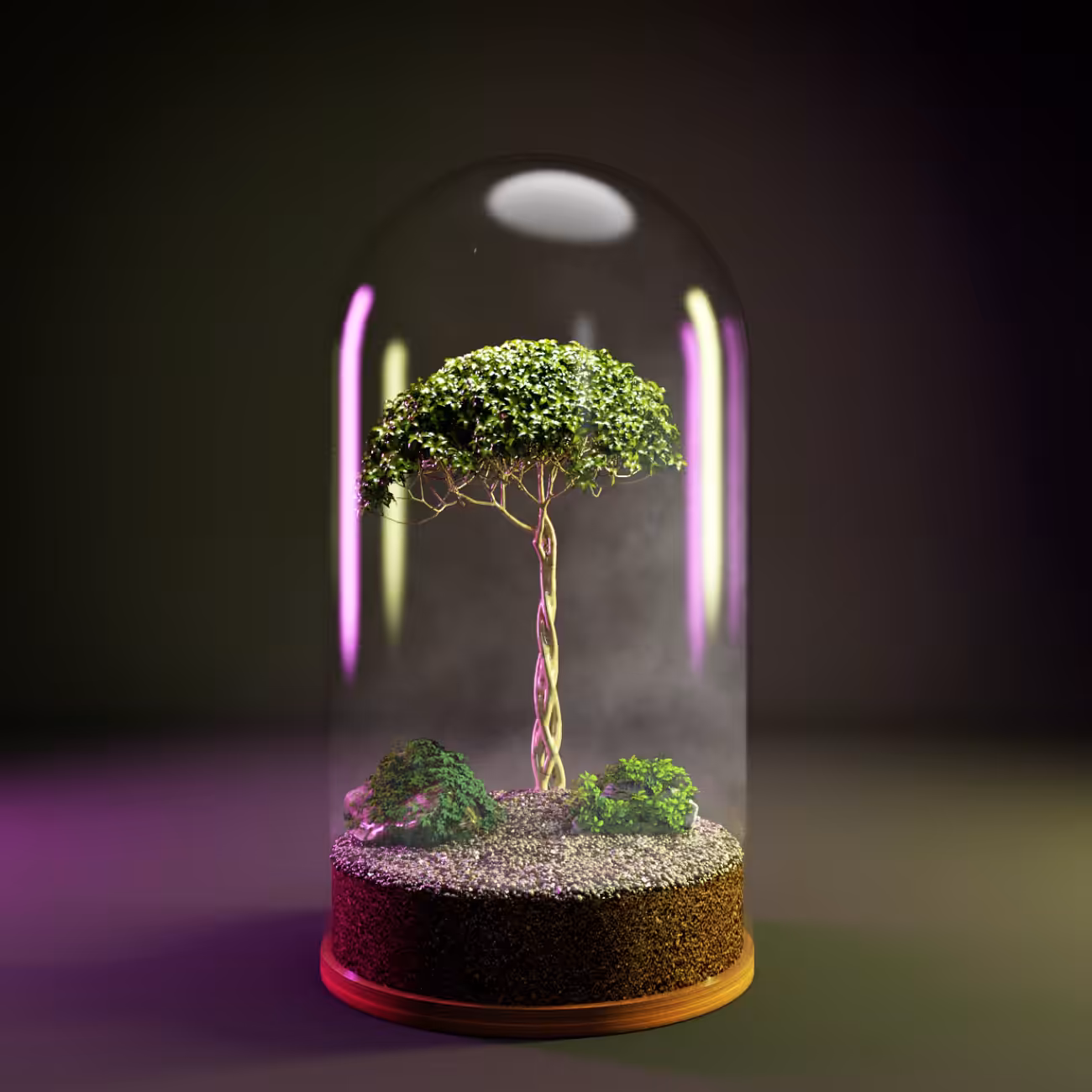 Terrarium #01