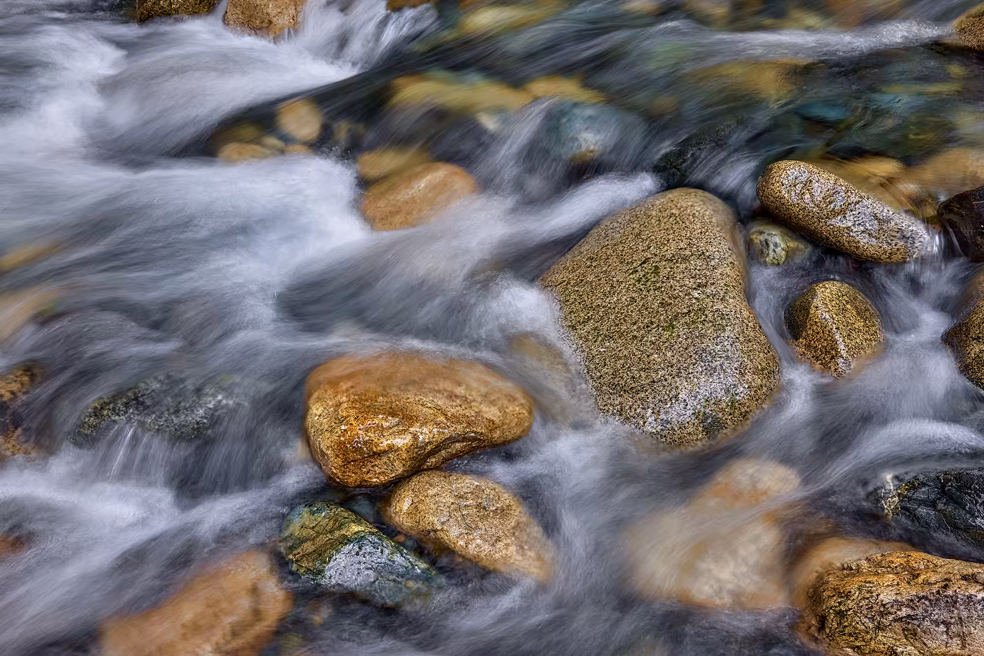 Swish | Aaron Reed Photography