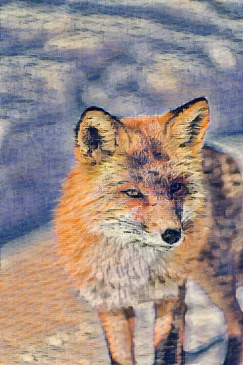 The Sly Fox