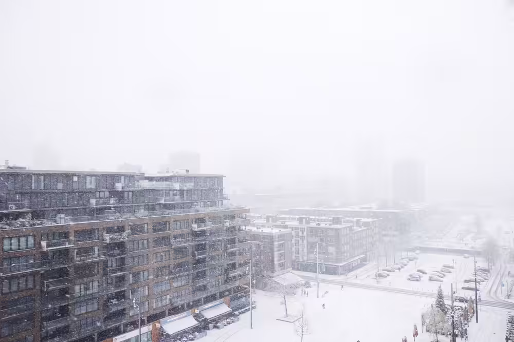 Winter