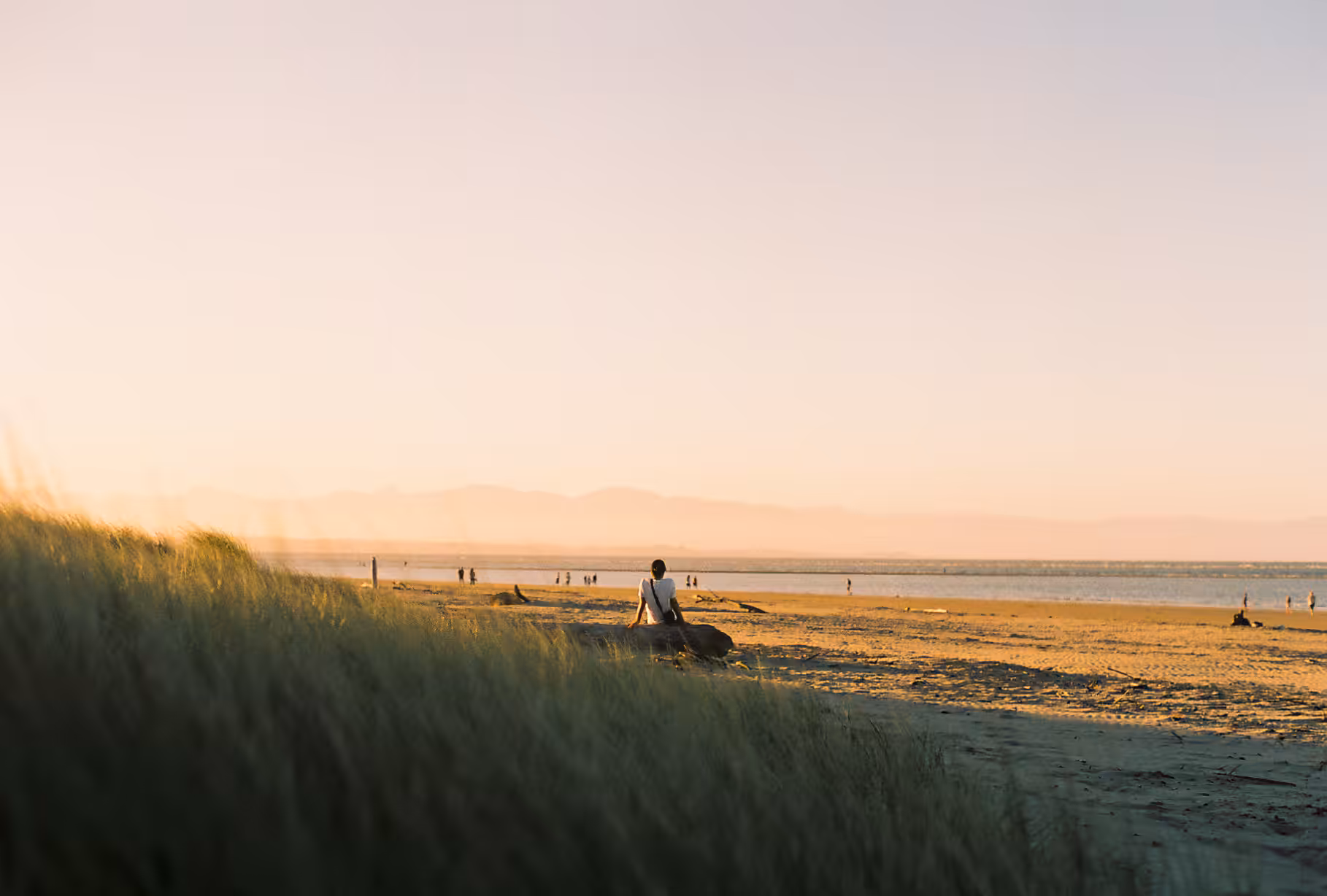 Humans in Solitude #13