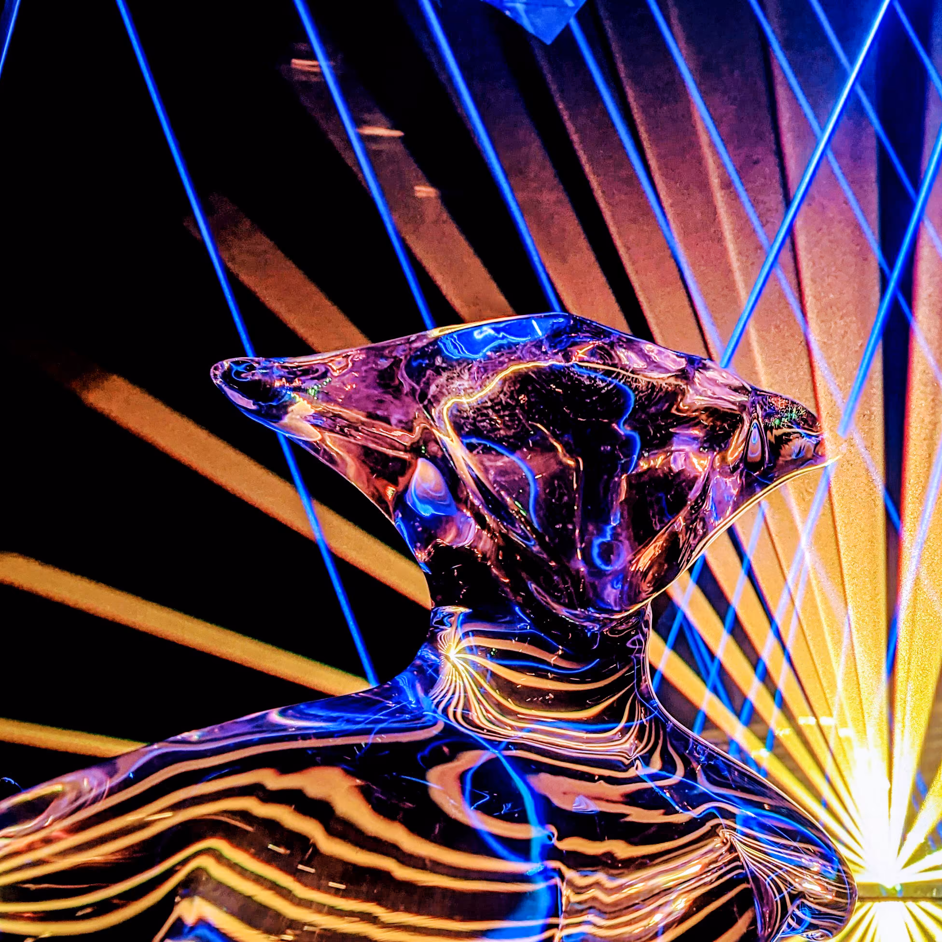 Laser#Beings_Victor