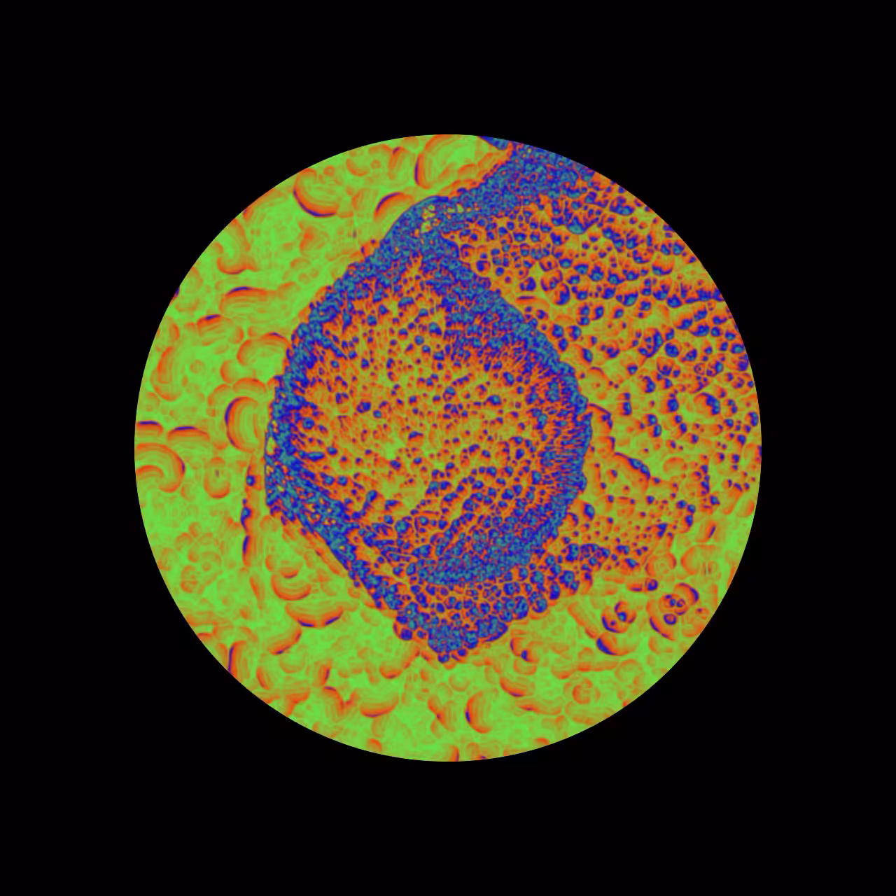 Cellular Automata