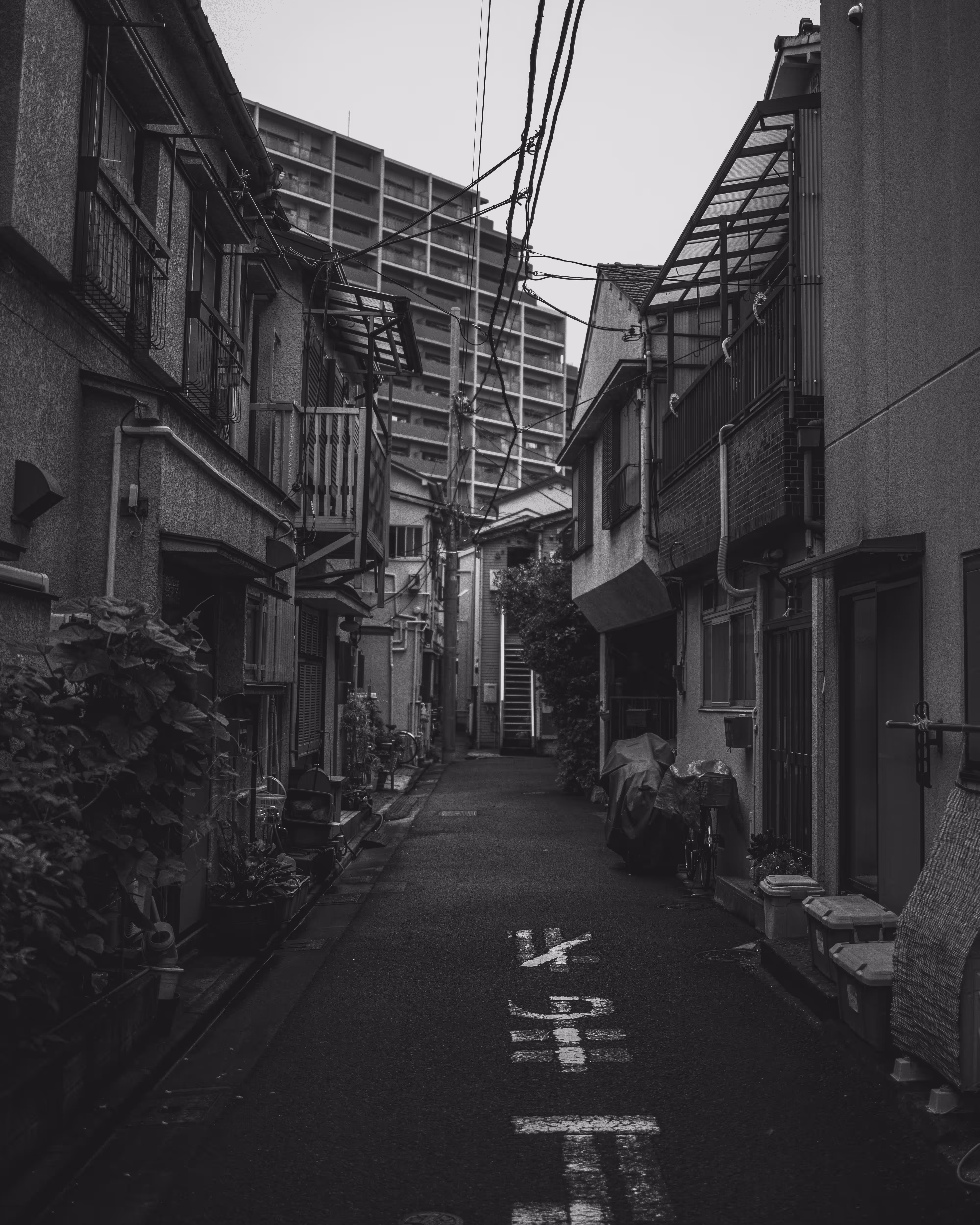 Tokyo: A Love Story #9