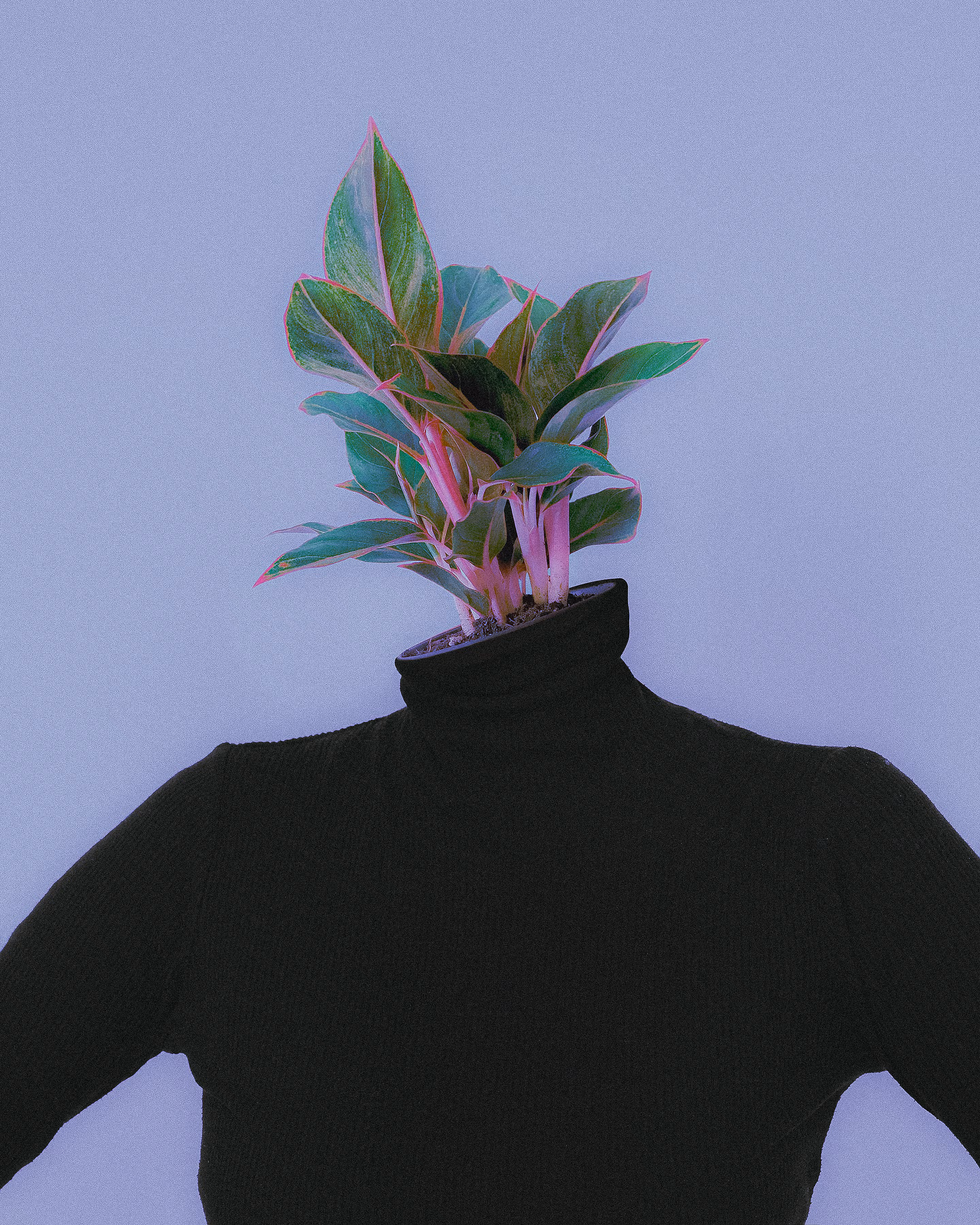 Posy Profiles