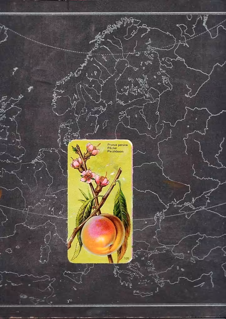 Europa