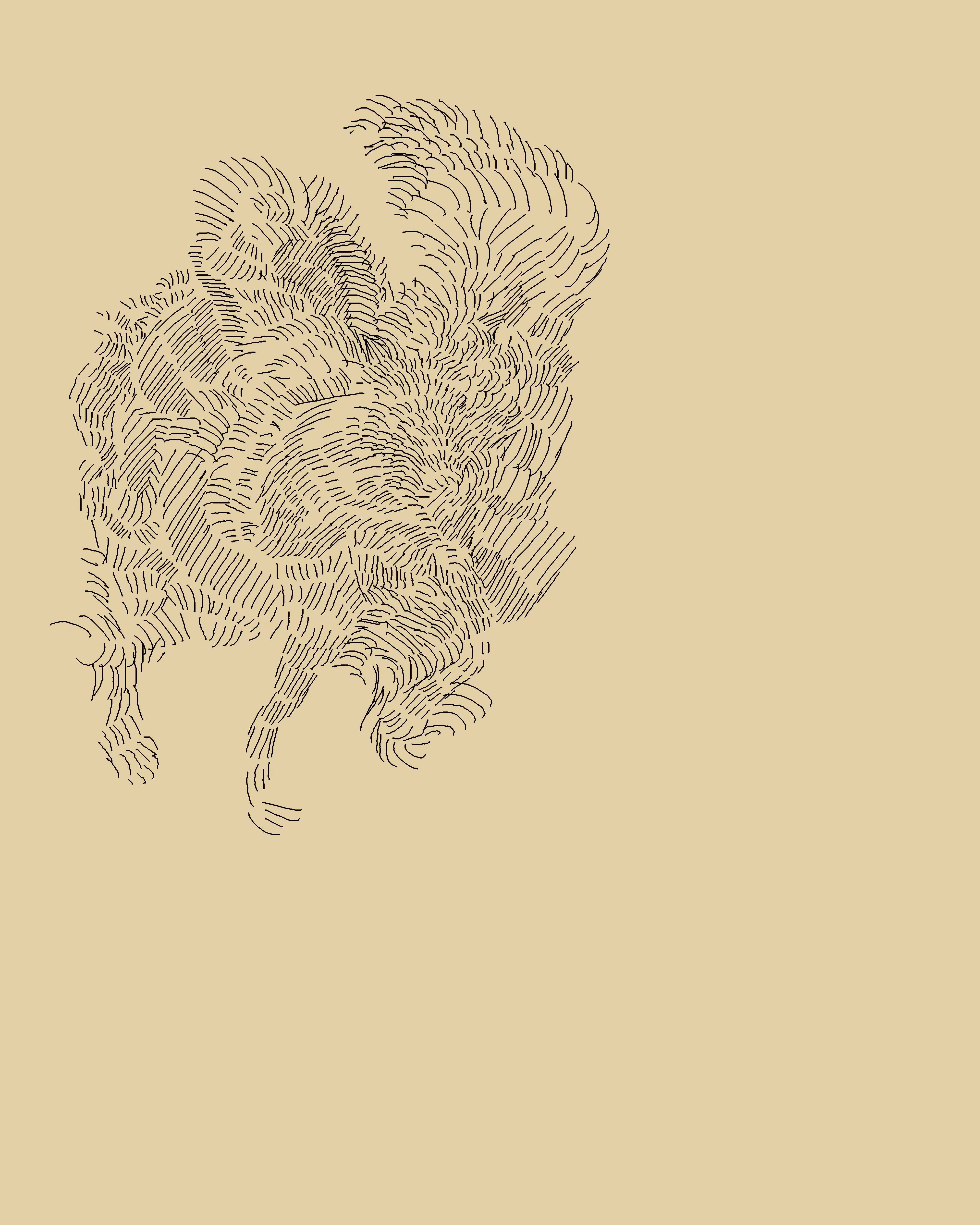 final bird