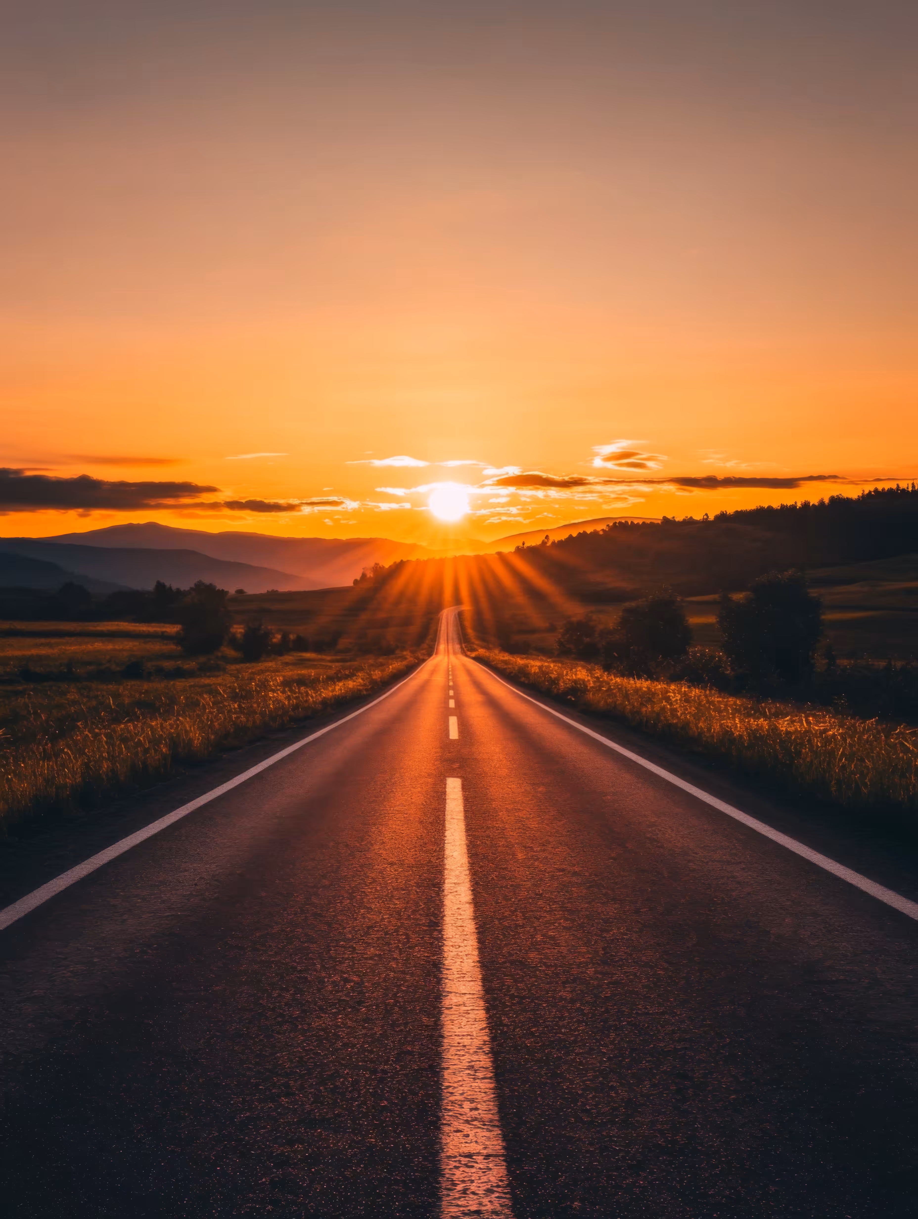 Follow the sun