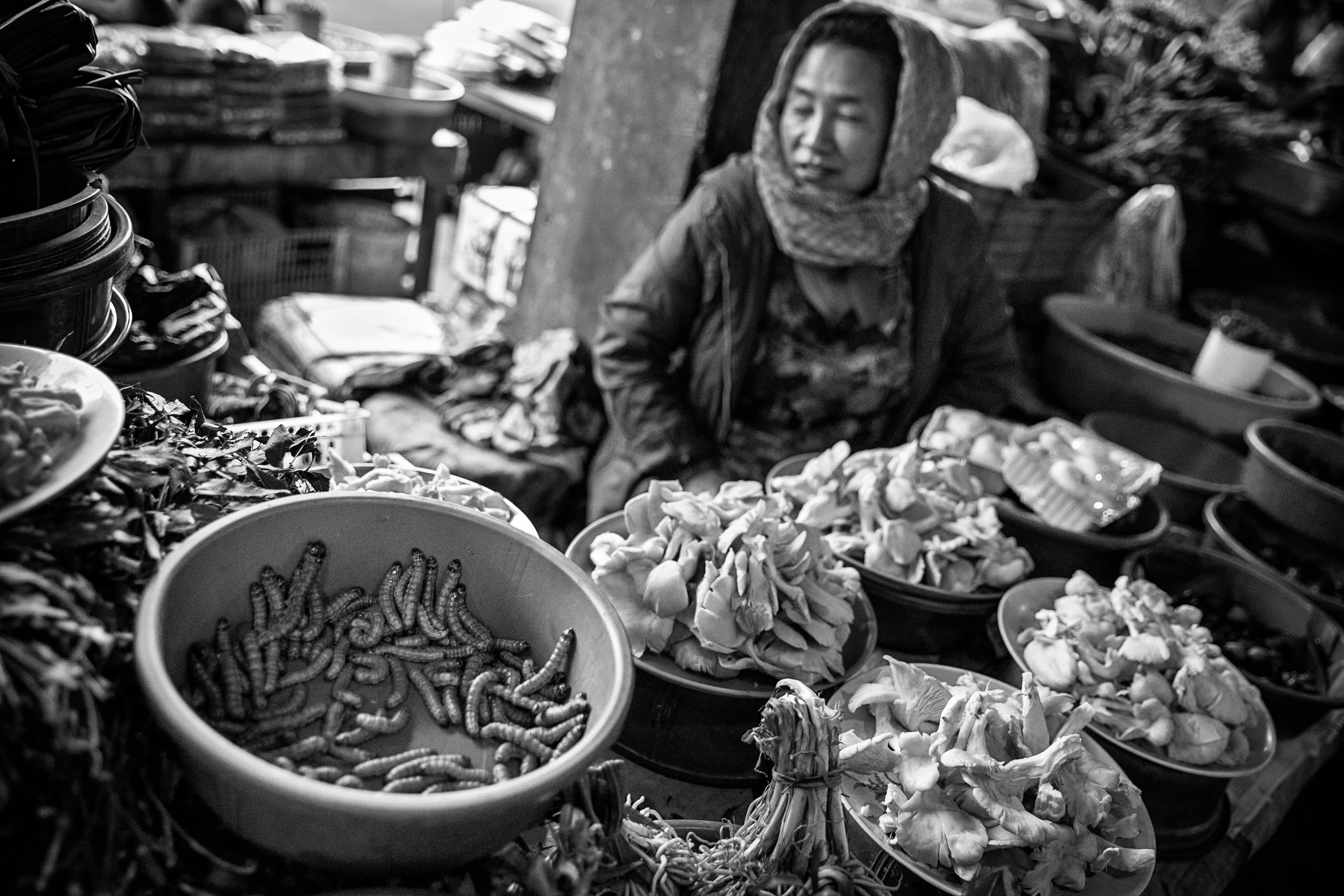 A  Journey through the Tribal Lands of NE India #41