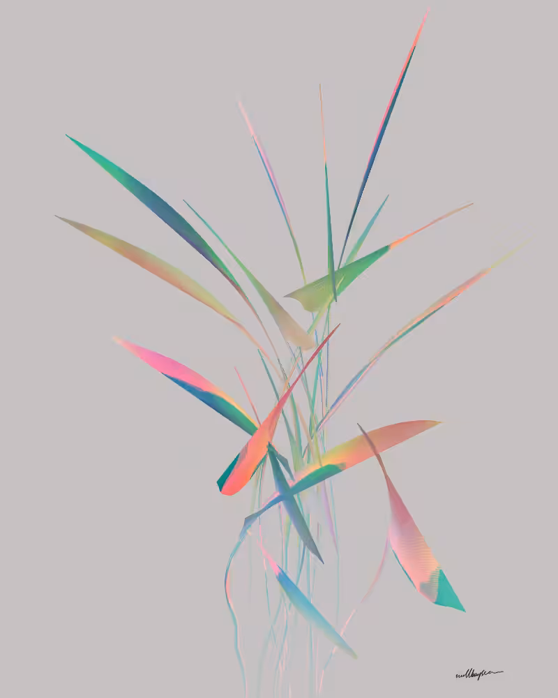 InBloom #49