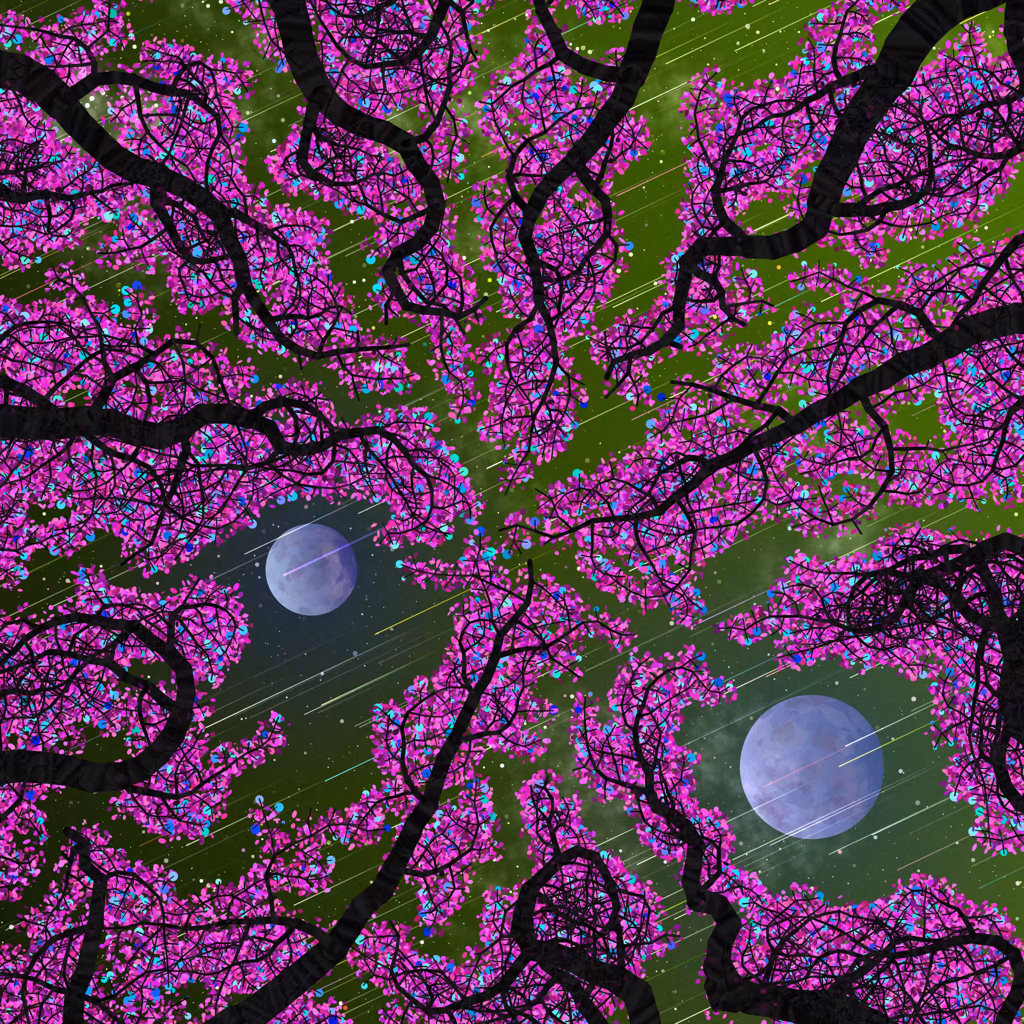 Tree Skyness #243
