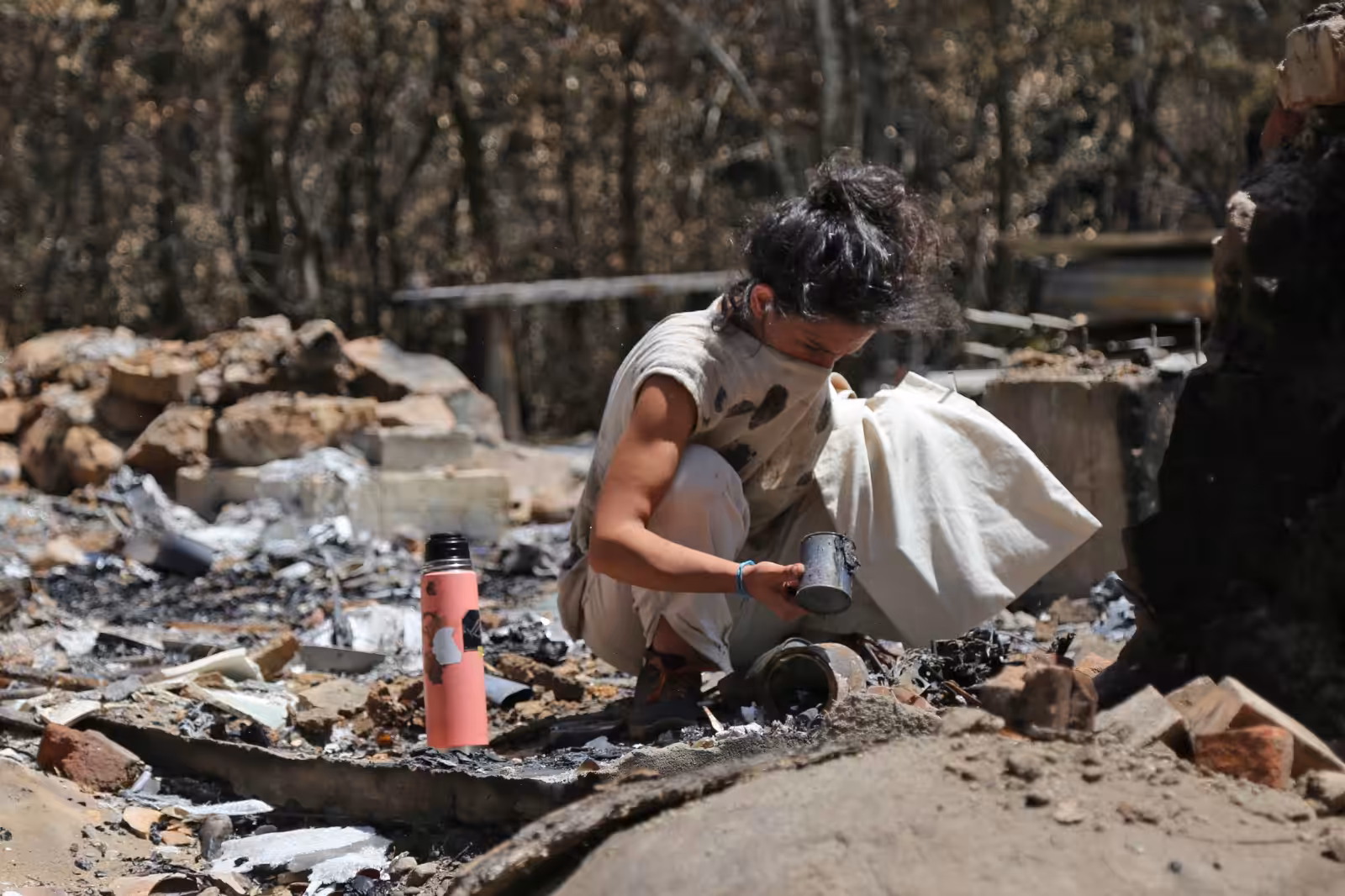 Ashes archaeologist